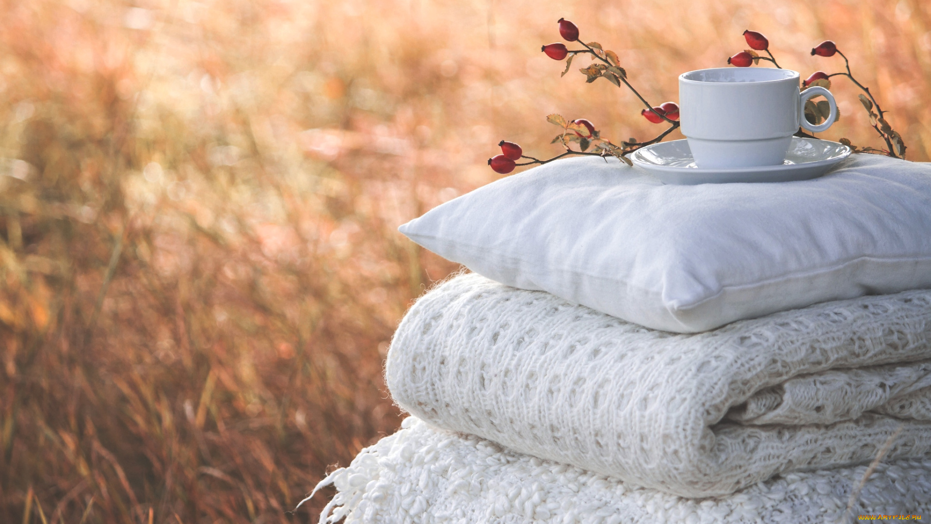 разное, одежда, , обувь, , текстиль, , экипировка, одеяло, подушки