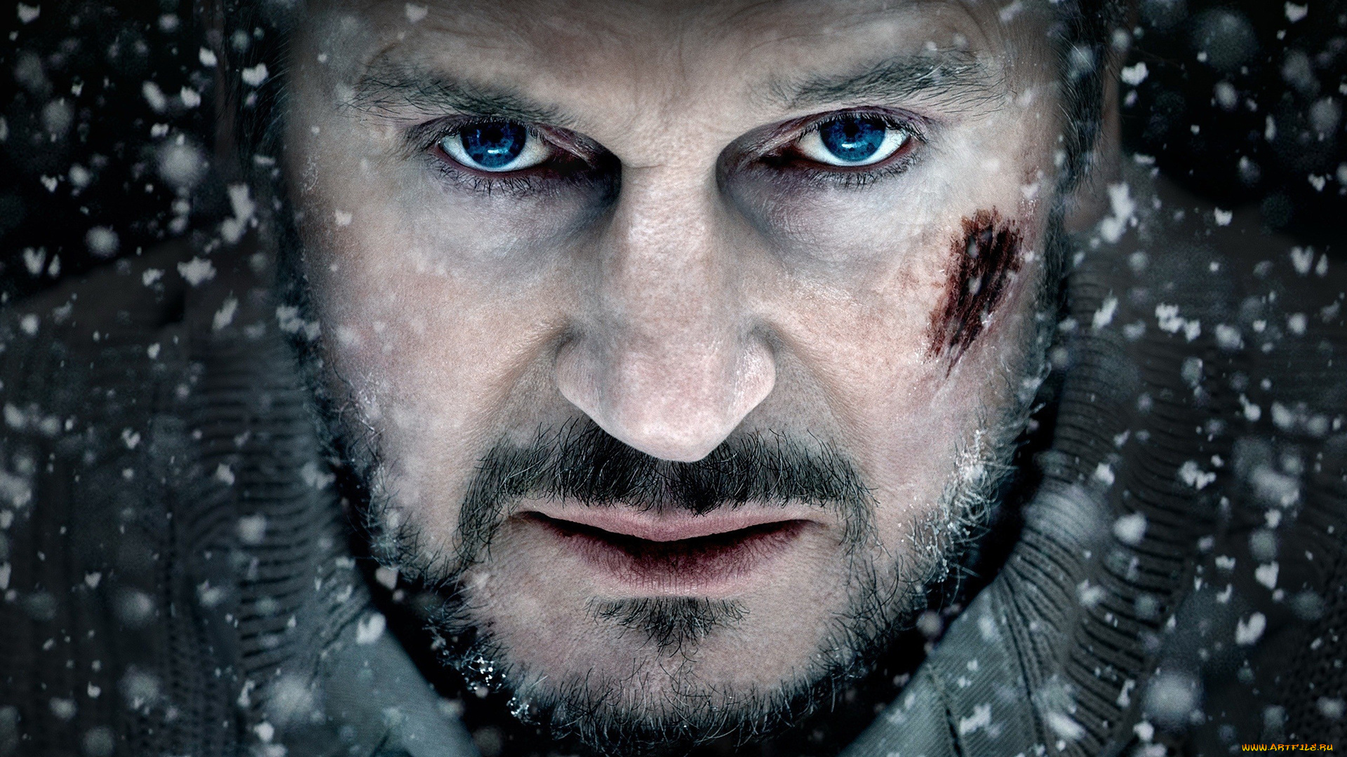 the, grey, кино, фильмы, схватка