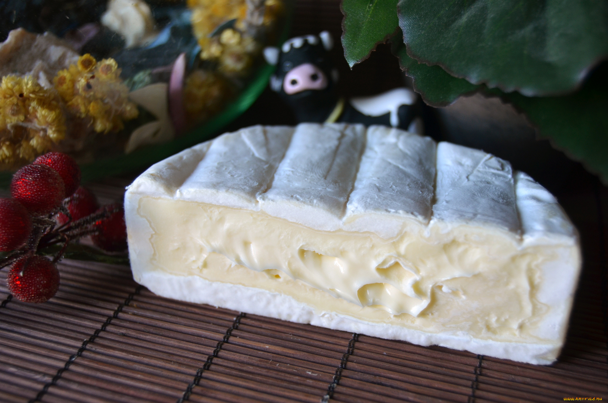 еда, сырные, изделия, сыр