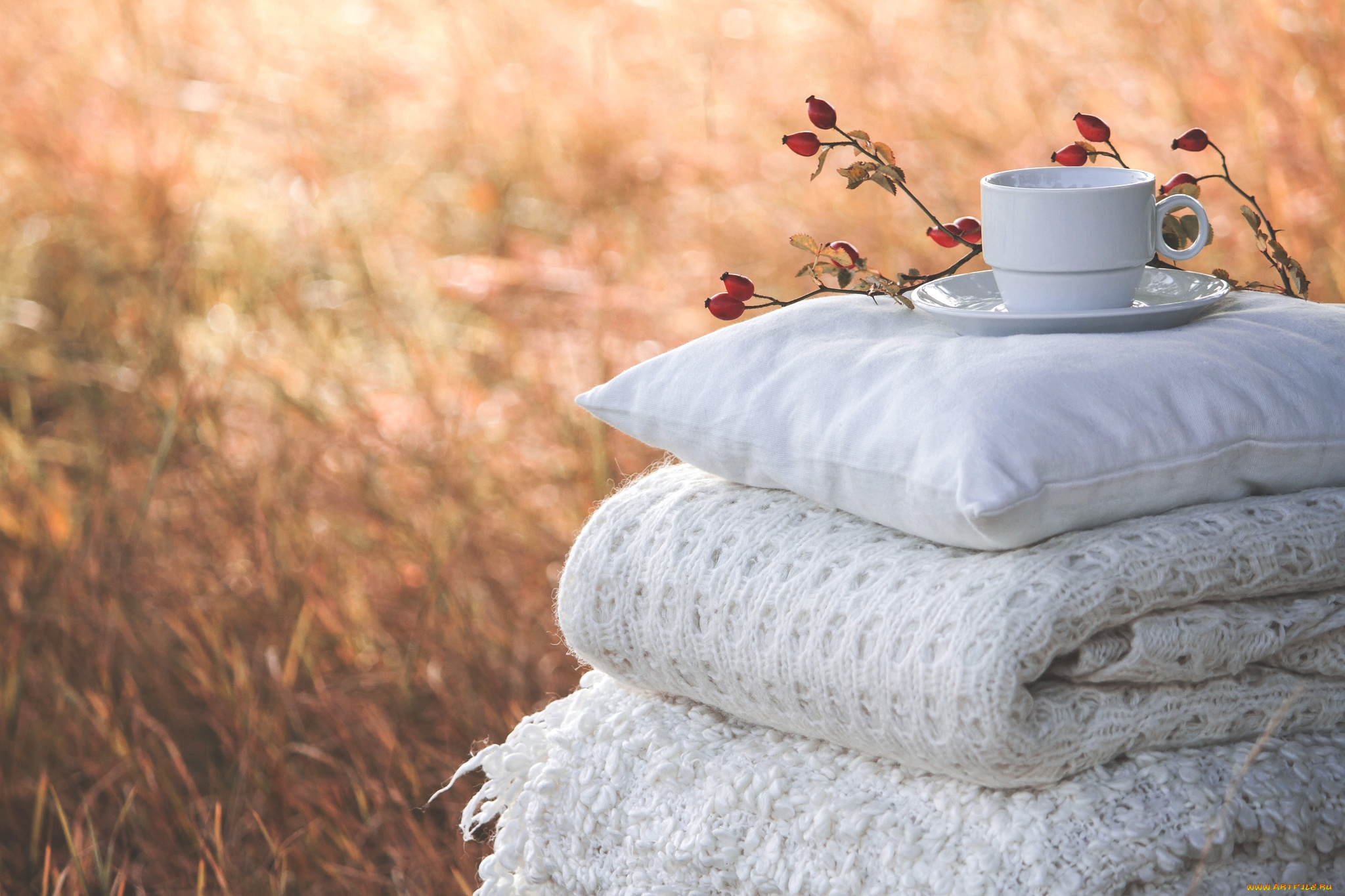 разное, одежда, , обувь, , текстиль, , экипировка, одеяло, подушки