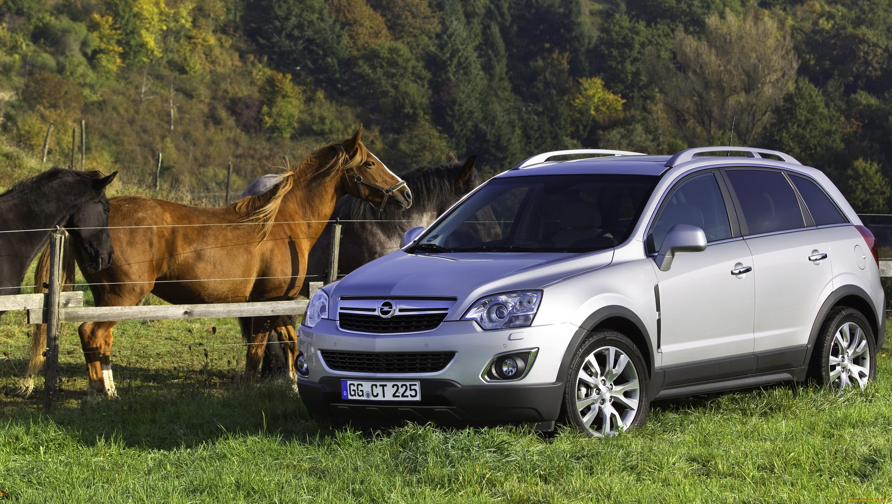 2011, opel, antara, автомобили, opel, antara, лошадь, серебристый