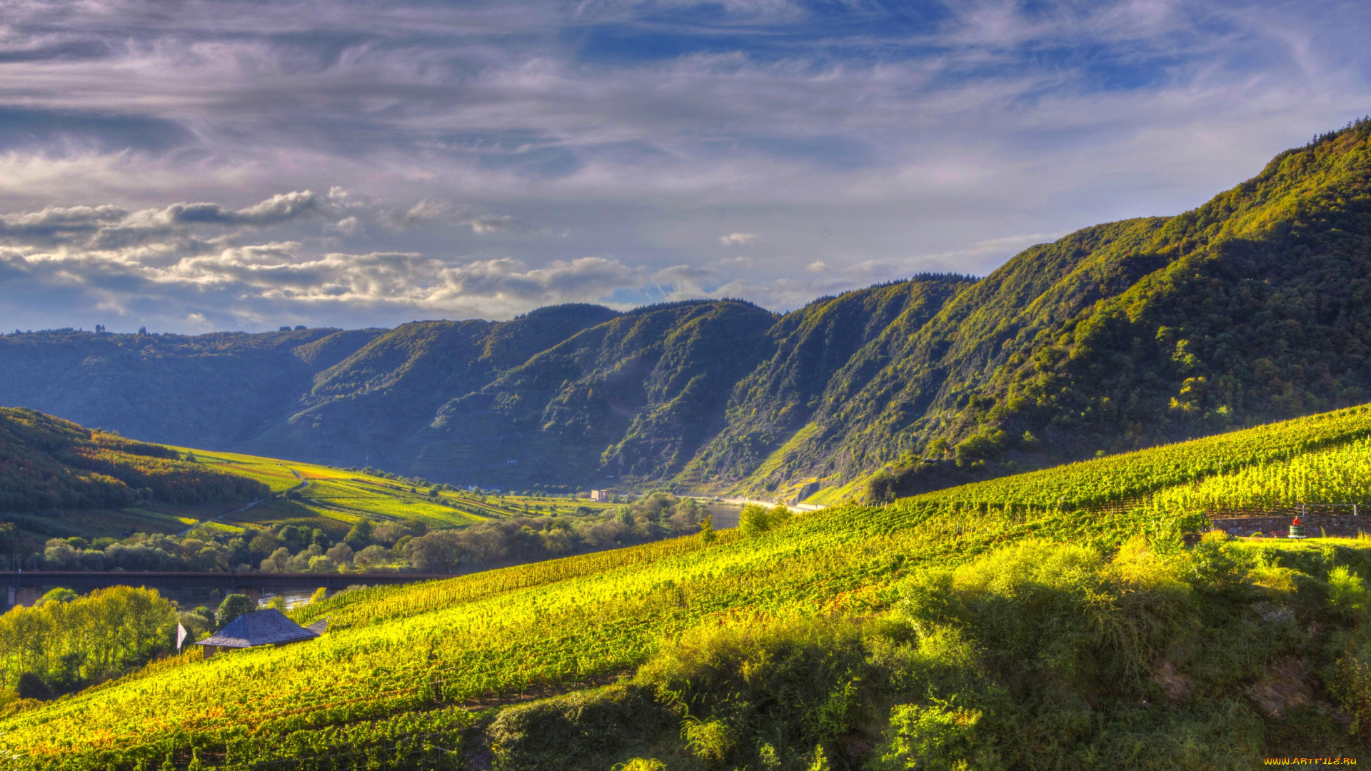 природа, горы, германия, ediger-eller, река, канал, поля, плантации