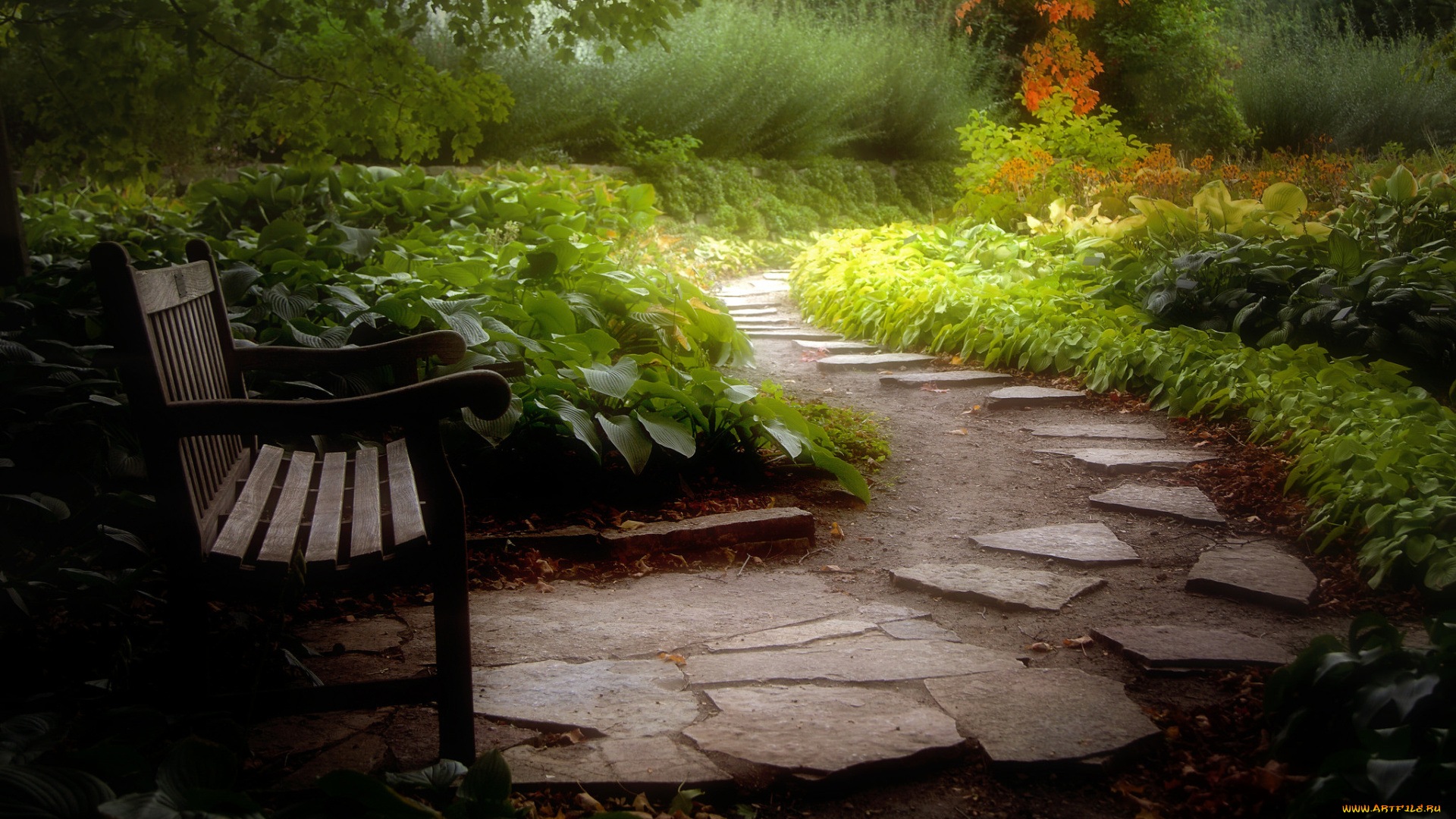природа, парк, скамья, кусты, камни, дорожка