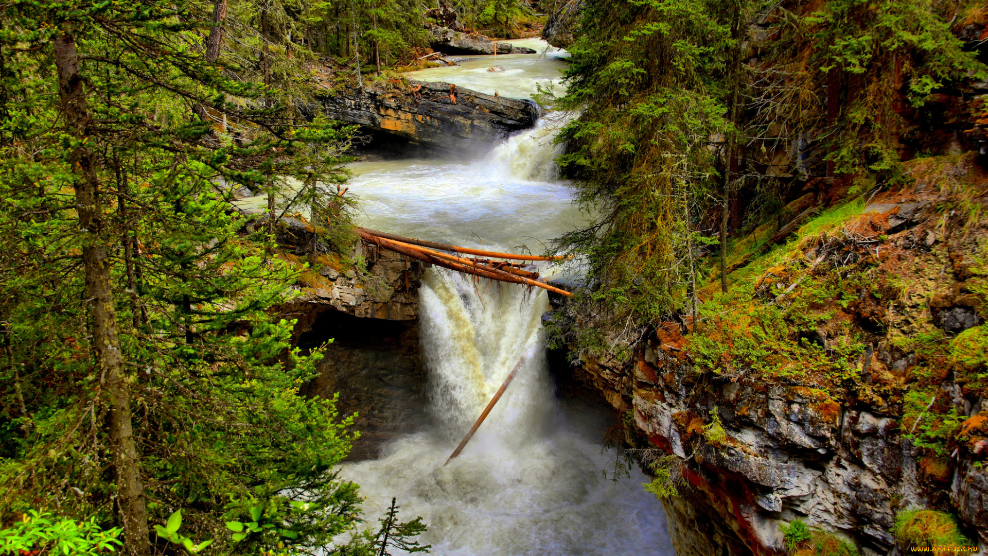 природа, водопады, водопад, река, лес