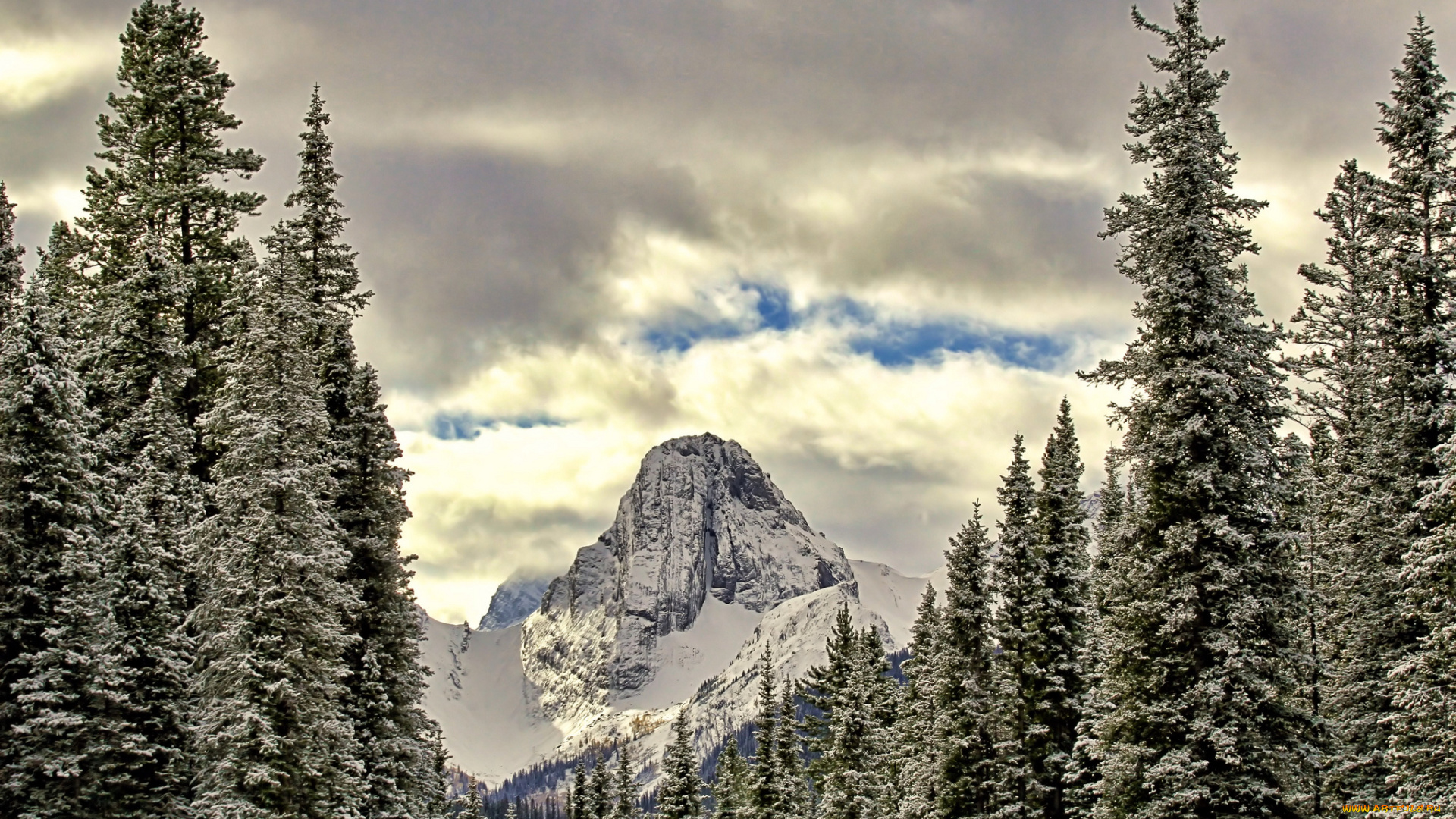 природа, зима, облака, лес, горы