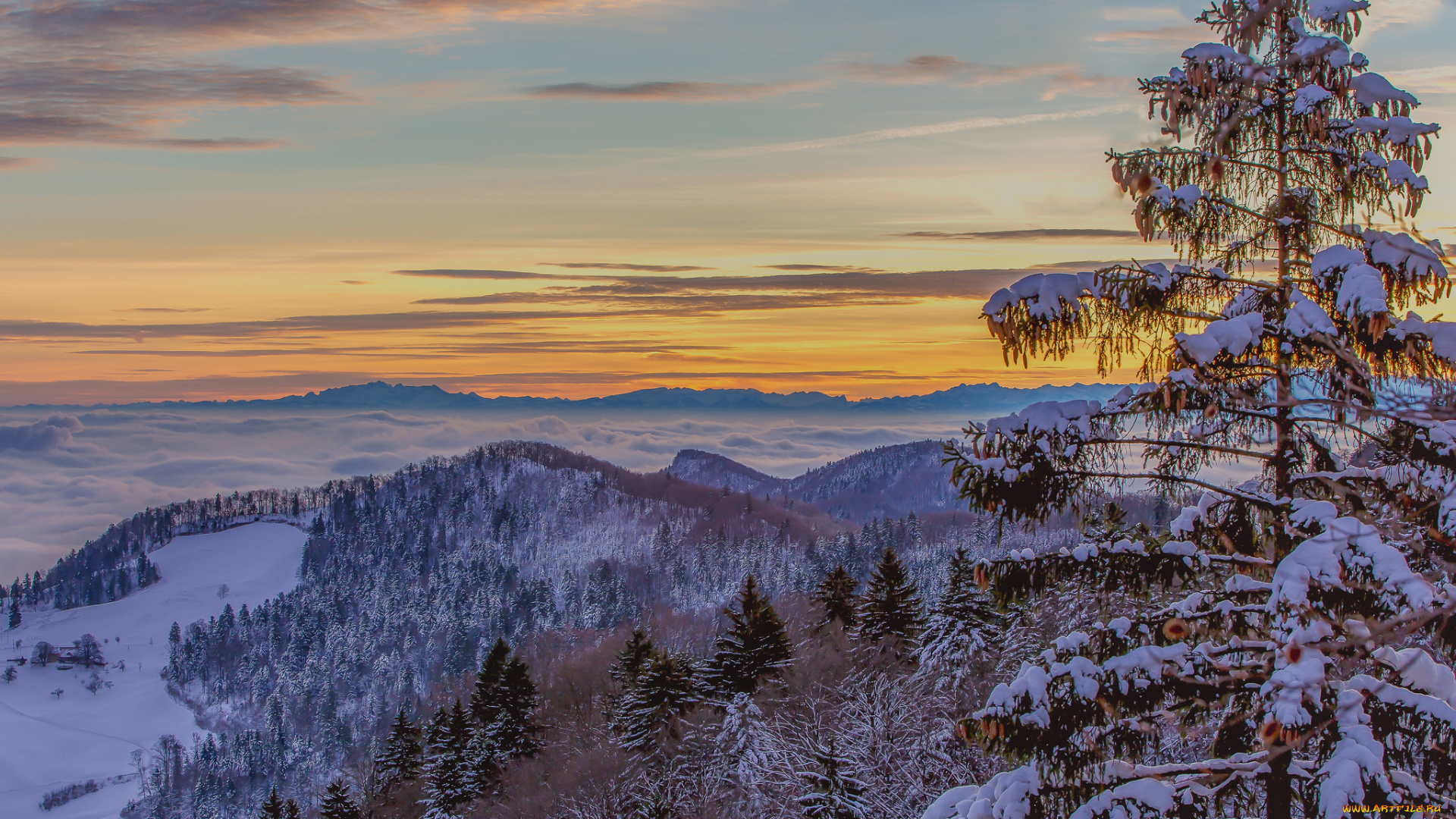 природа, зима, облака, зарево, небо, ель, снег, горы, деревья, туман