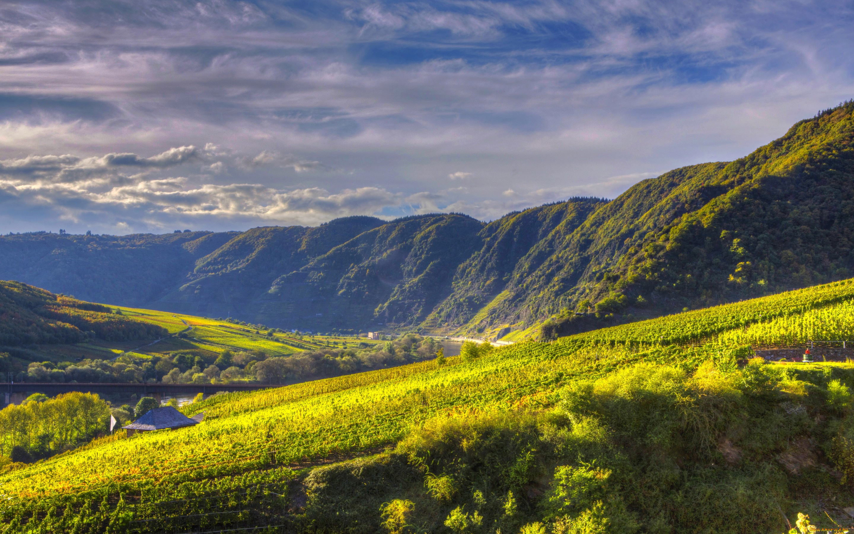 природа, горы, германия, ediger-eller, река, канал, поля, плантации