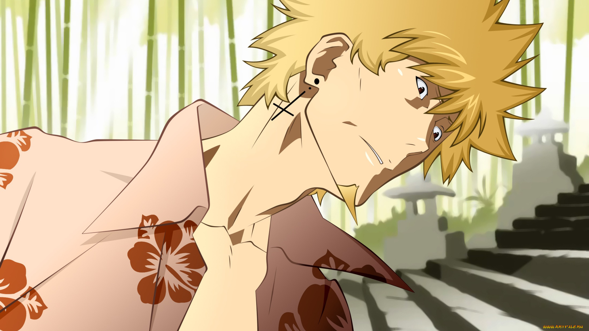 аниме, bakemonogatari, фон, парень, взгляд