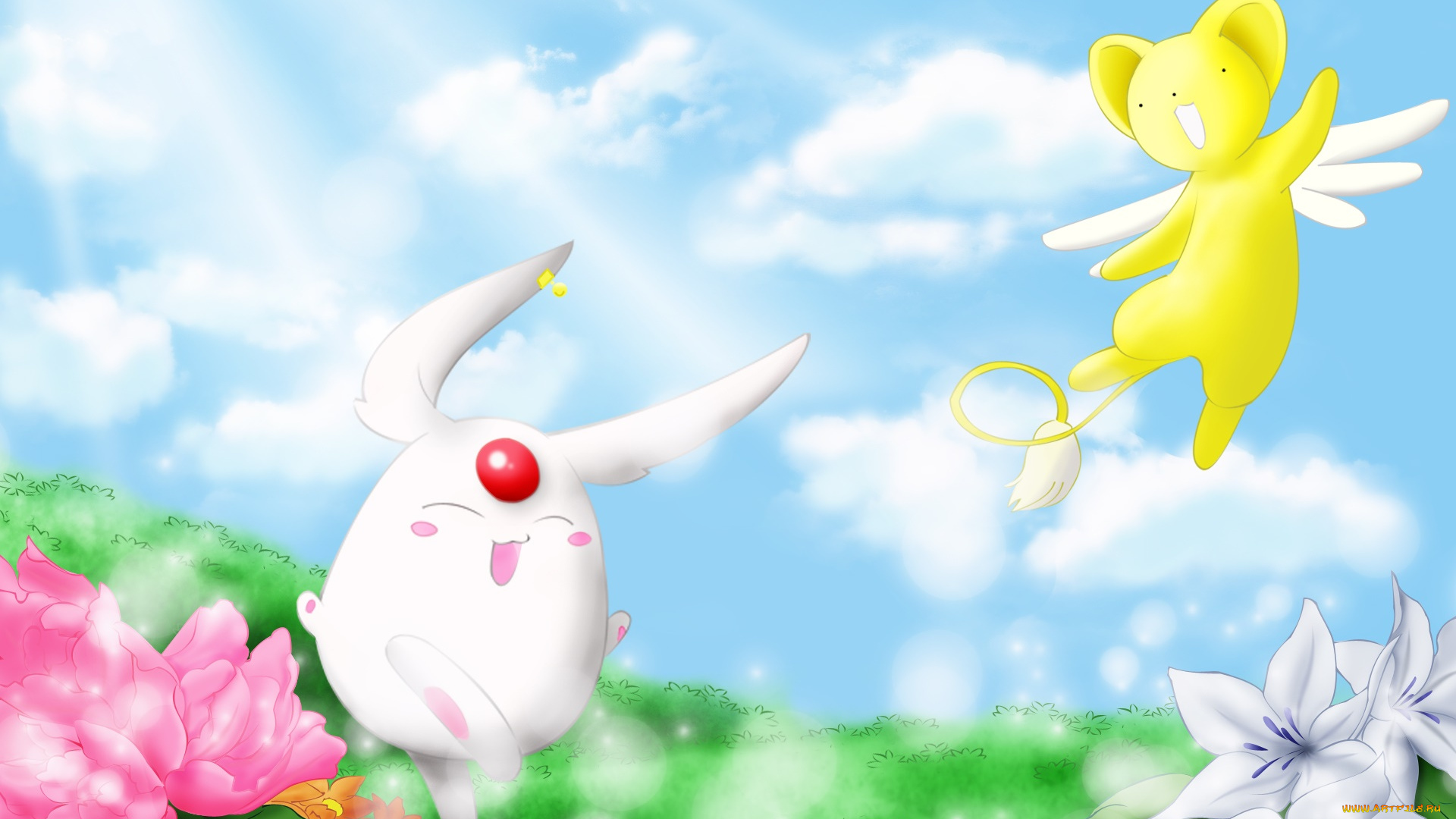 chobits, аниме, цветы