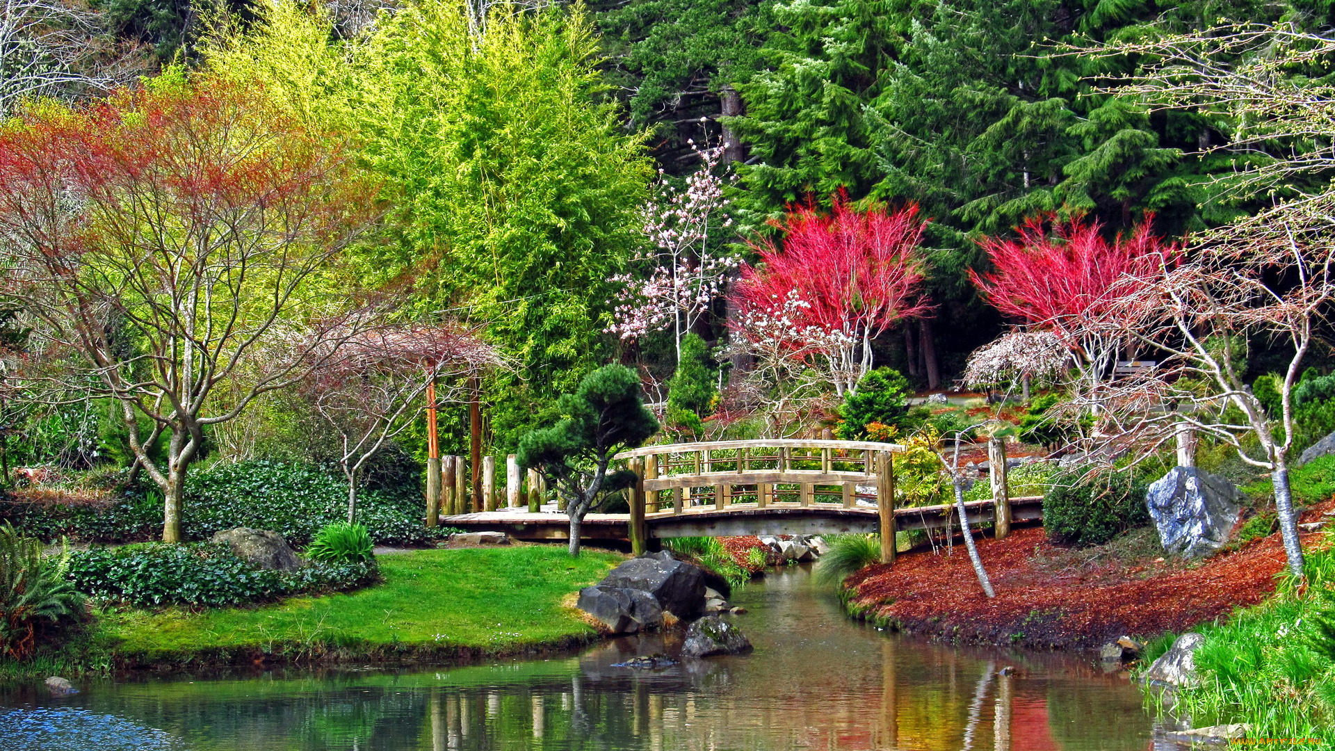 природа, парк, водоем, мостик, весна