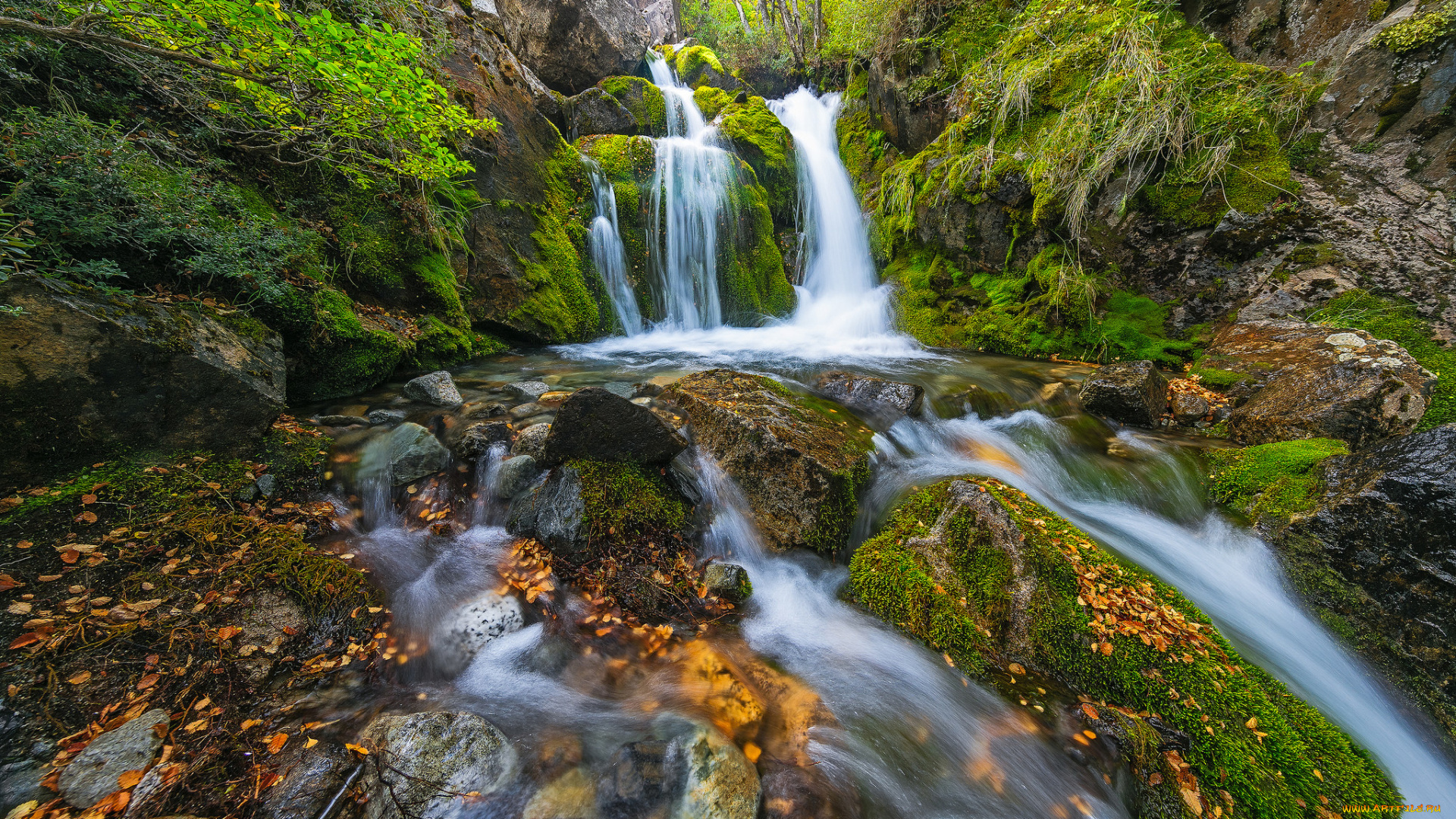 природа, водопады, каскад, водопад, лес
