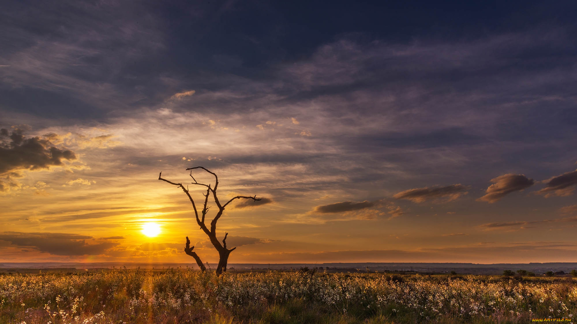 природа, восходы, закаты, рассвет