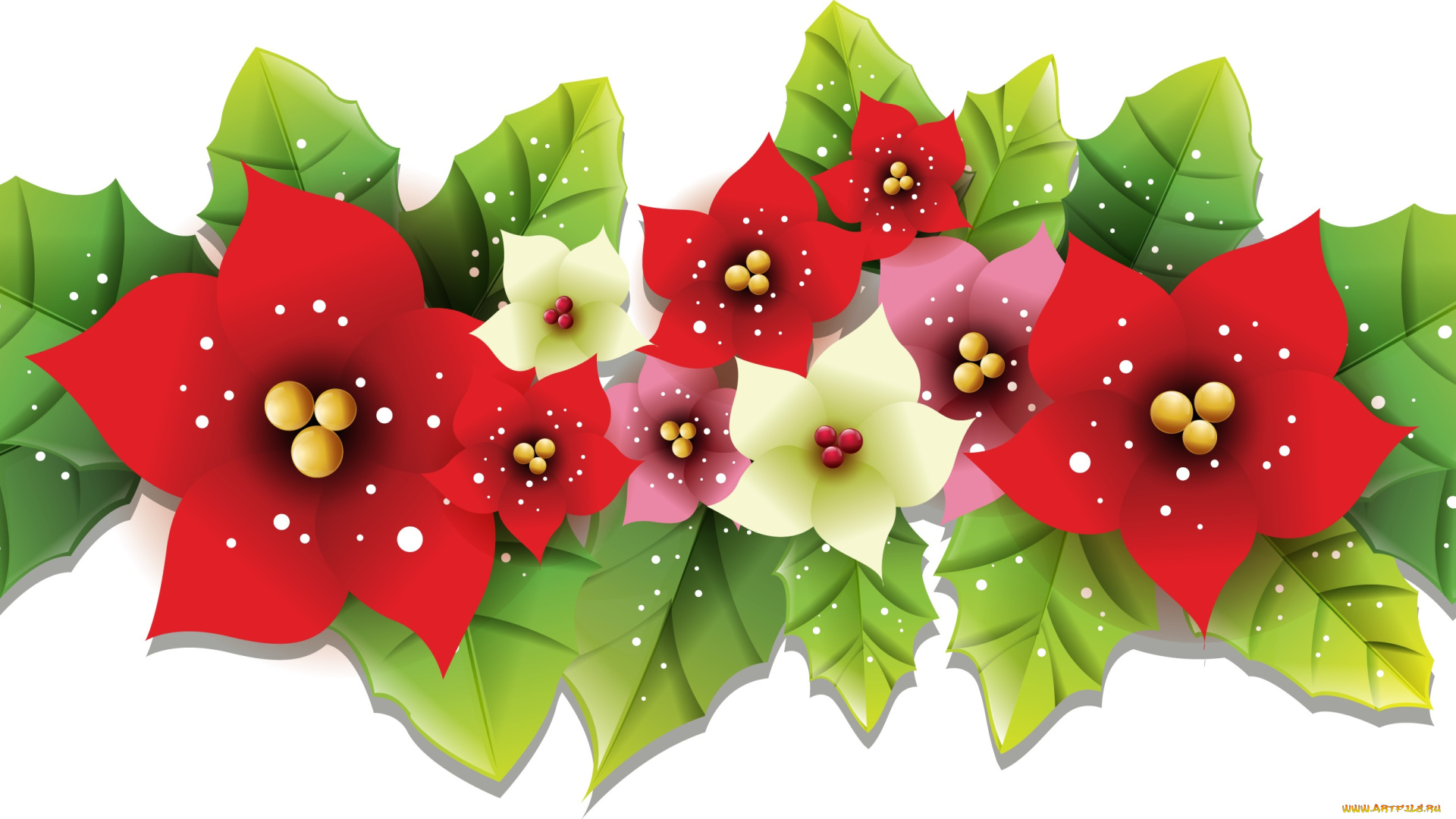 векторная, графика, цветы, , flowers, цветы, фон, лепестки