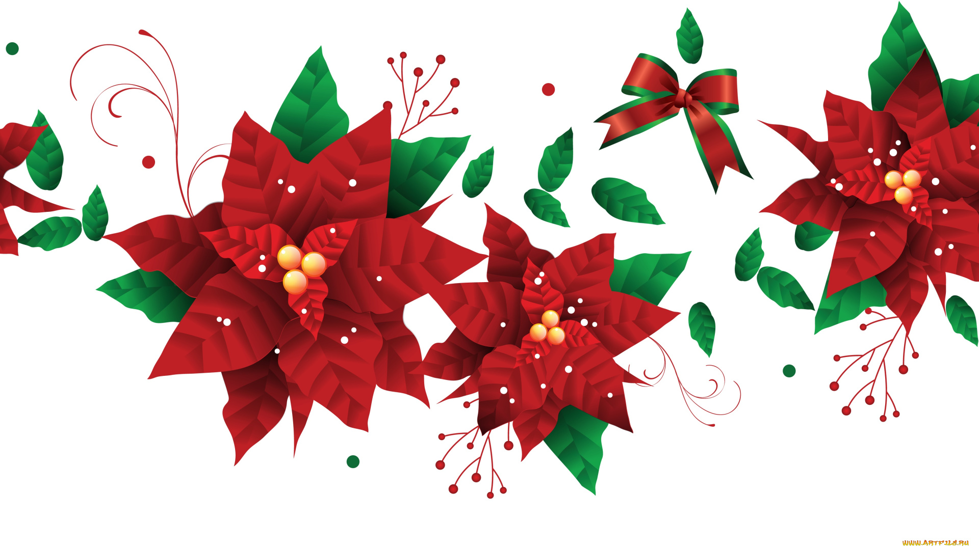 векторная, графика, цветы, , flowers, фон, лепестки, цветы