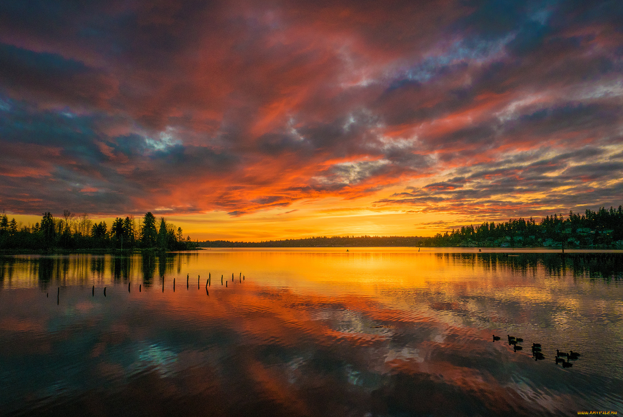 природа, восходы, закаты, рассвет