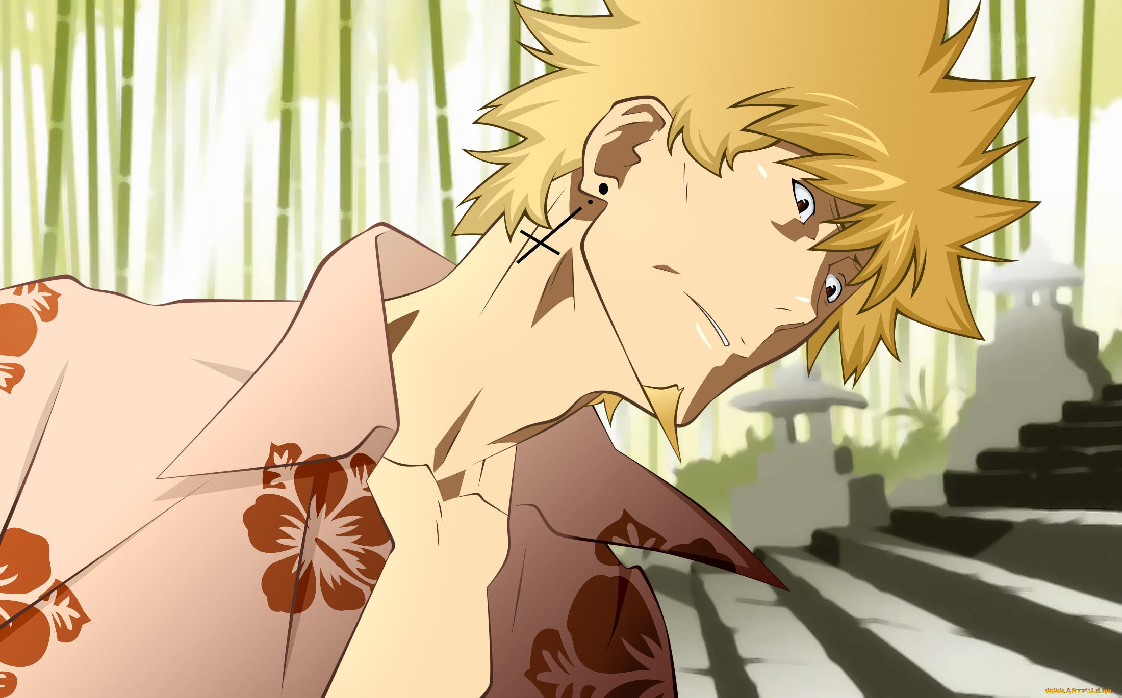 аниме, bakemonogatari, фон, парень, взгляд