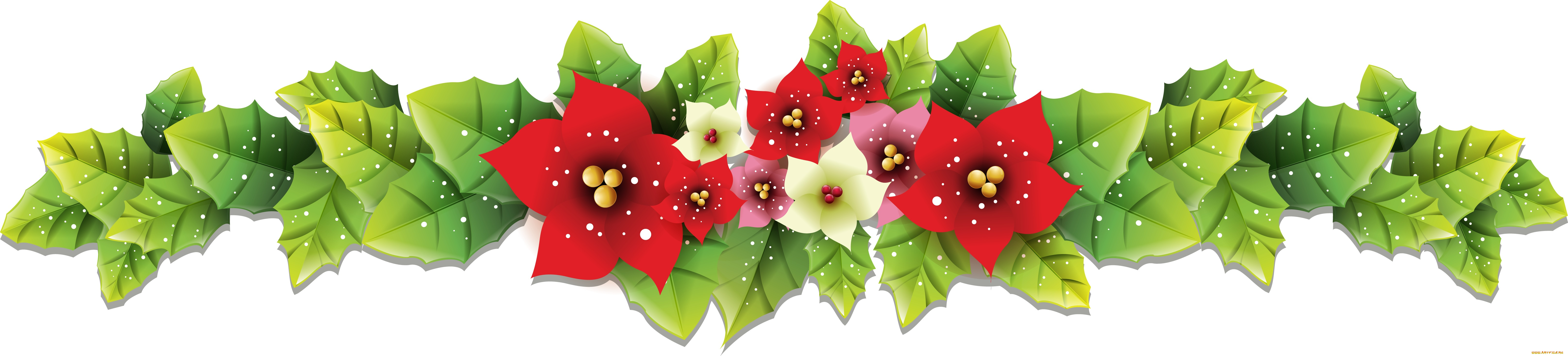 векторная, графика, цветы, , flowers, цветы, фон, лепестки