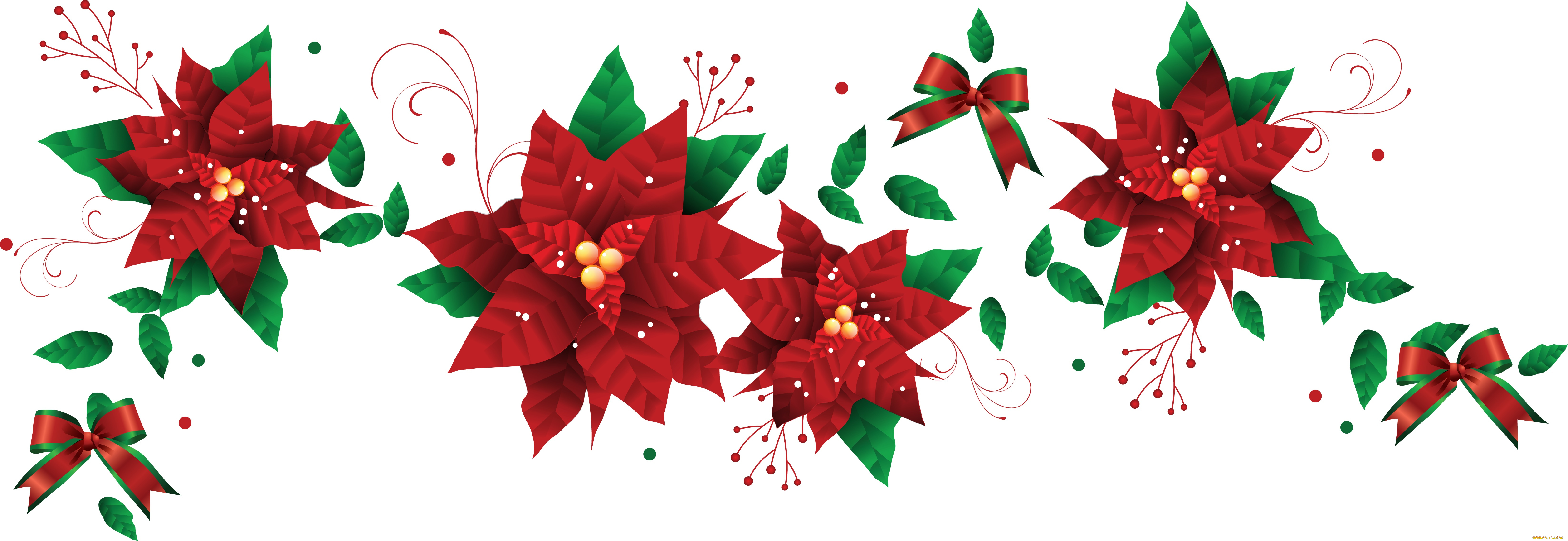 векторная, графика, цветы, , flowers, фон, лепестки, цветы