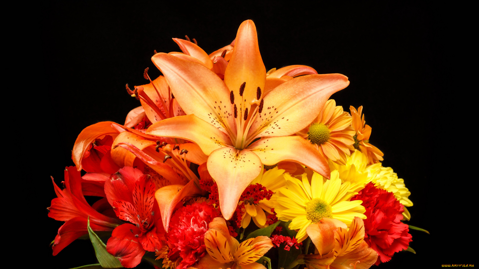 цветы, букеты, , композиции, букет, разноцветных, лилий, на, черном, фоне