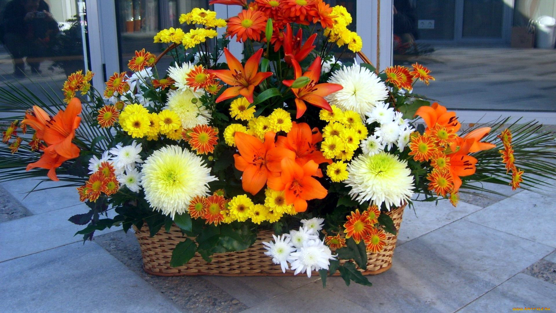 цветы, букеты, , композиции, хризантемы, лилии