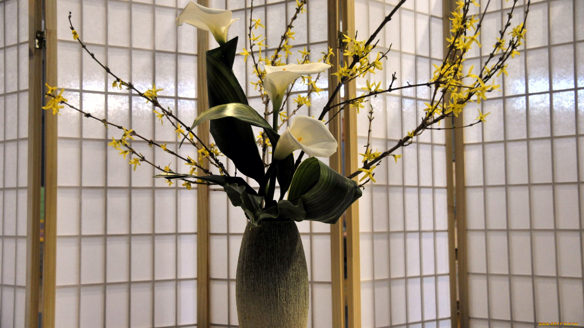 цветы, букеты, , композиции, каллы, форзиция