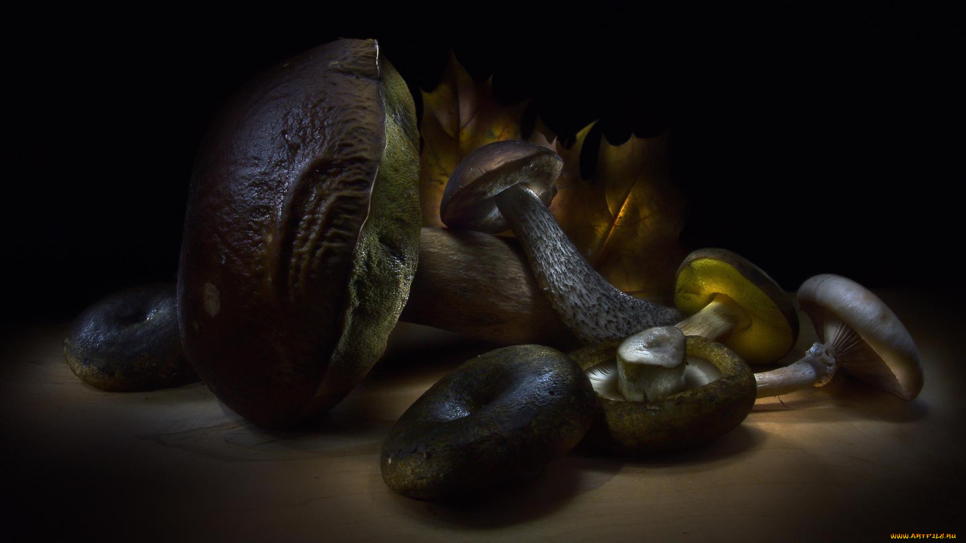 еда, грибы, , грибные, блюда, подберёзовик, чернушки, белый