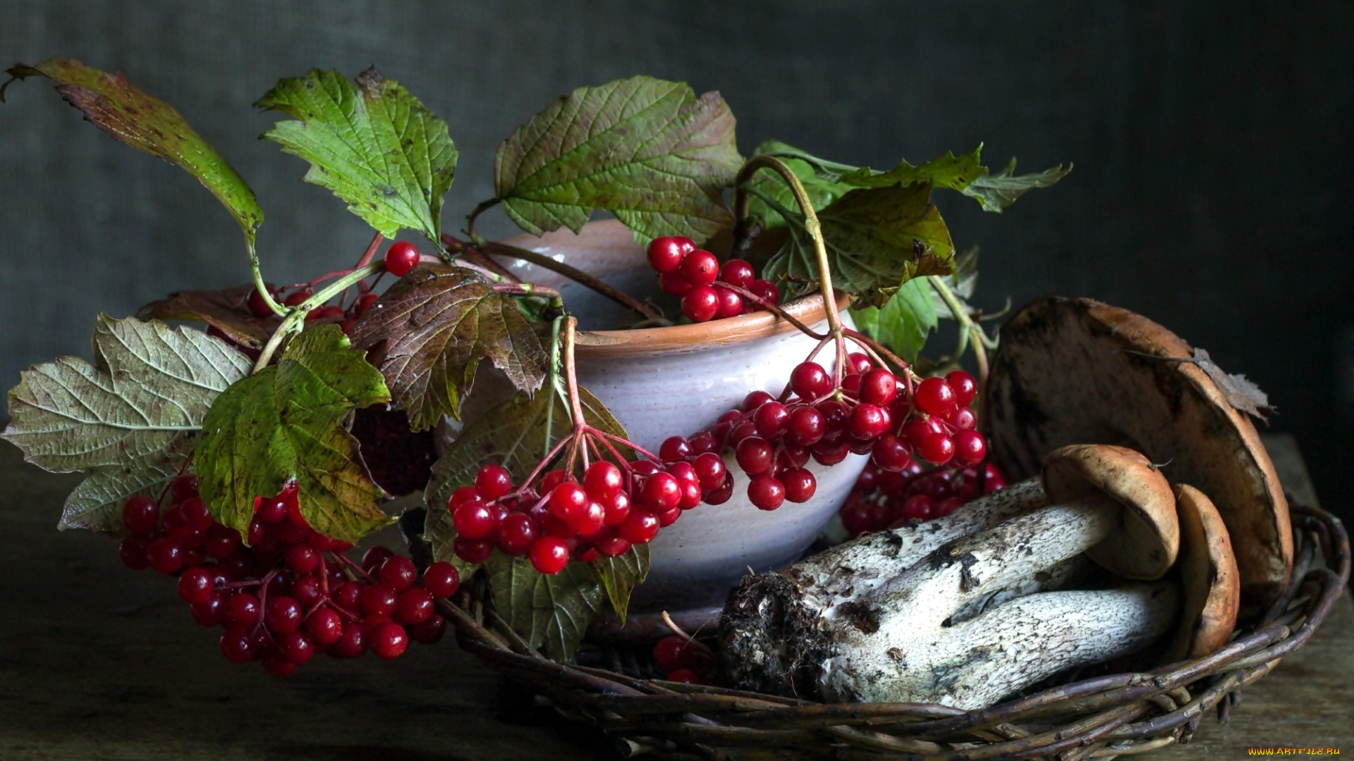 еда, натюрморт, ягоды, подберезовики, калина