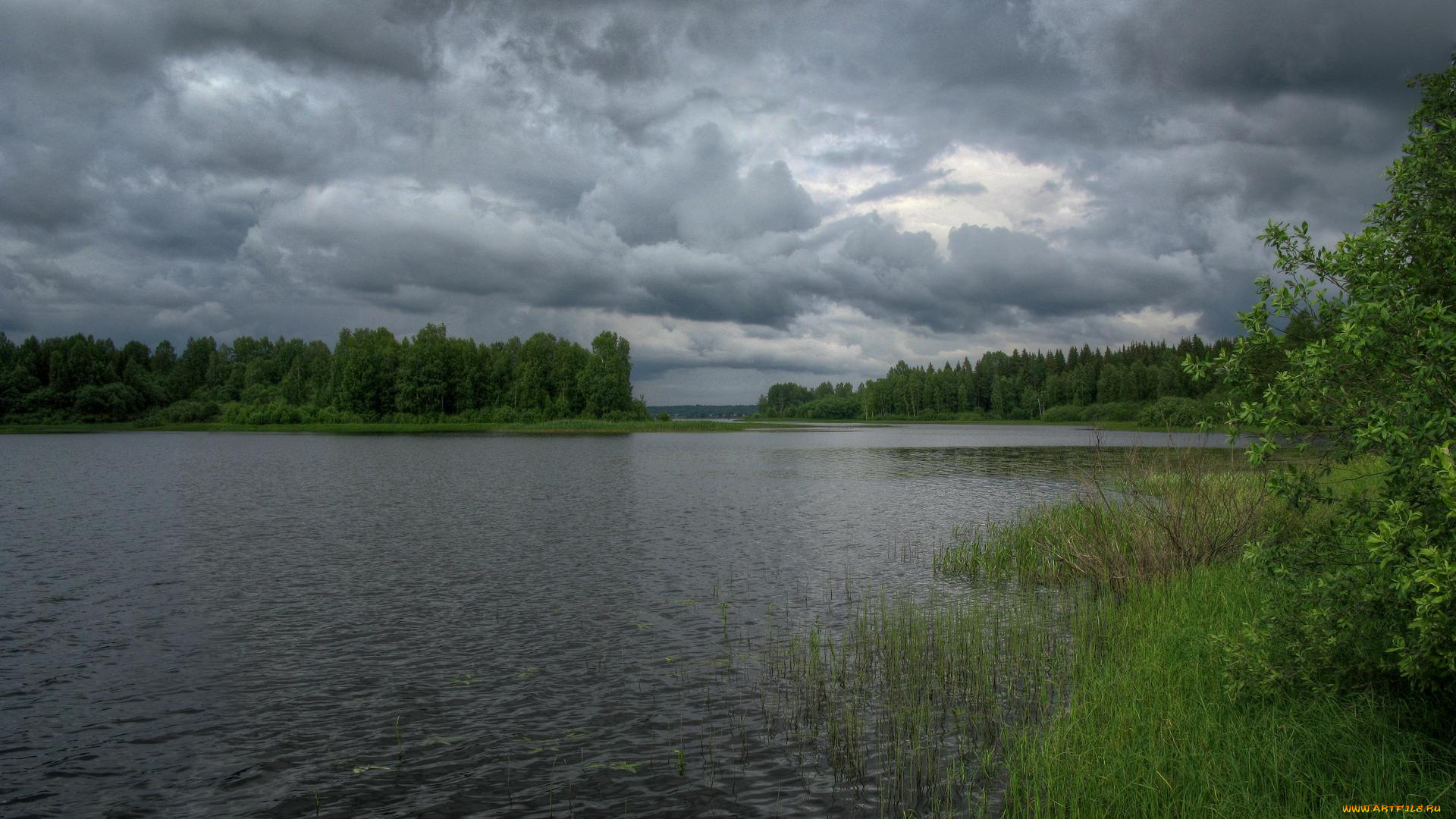 природа, реки, озера, тверская, область, озеро, вселуг, россия