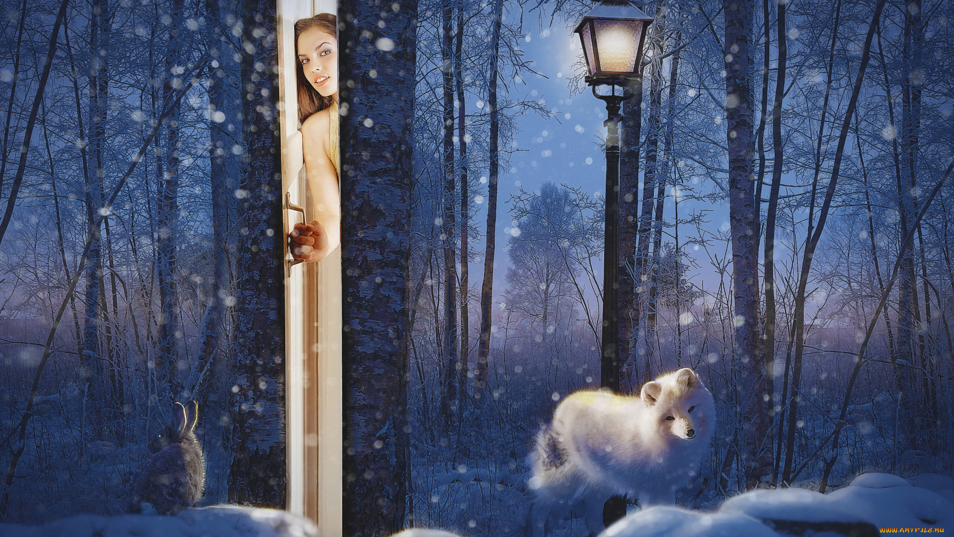 разное, компьютерный, дизайн, девушка, фон, взгляд, дверь, писец, заяц