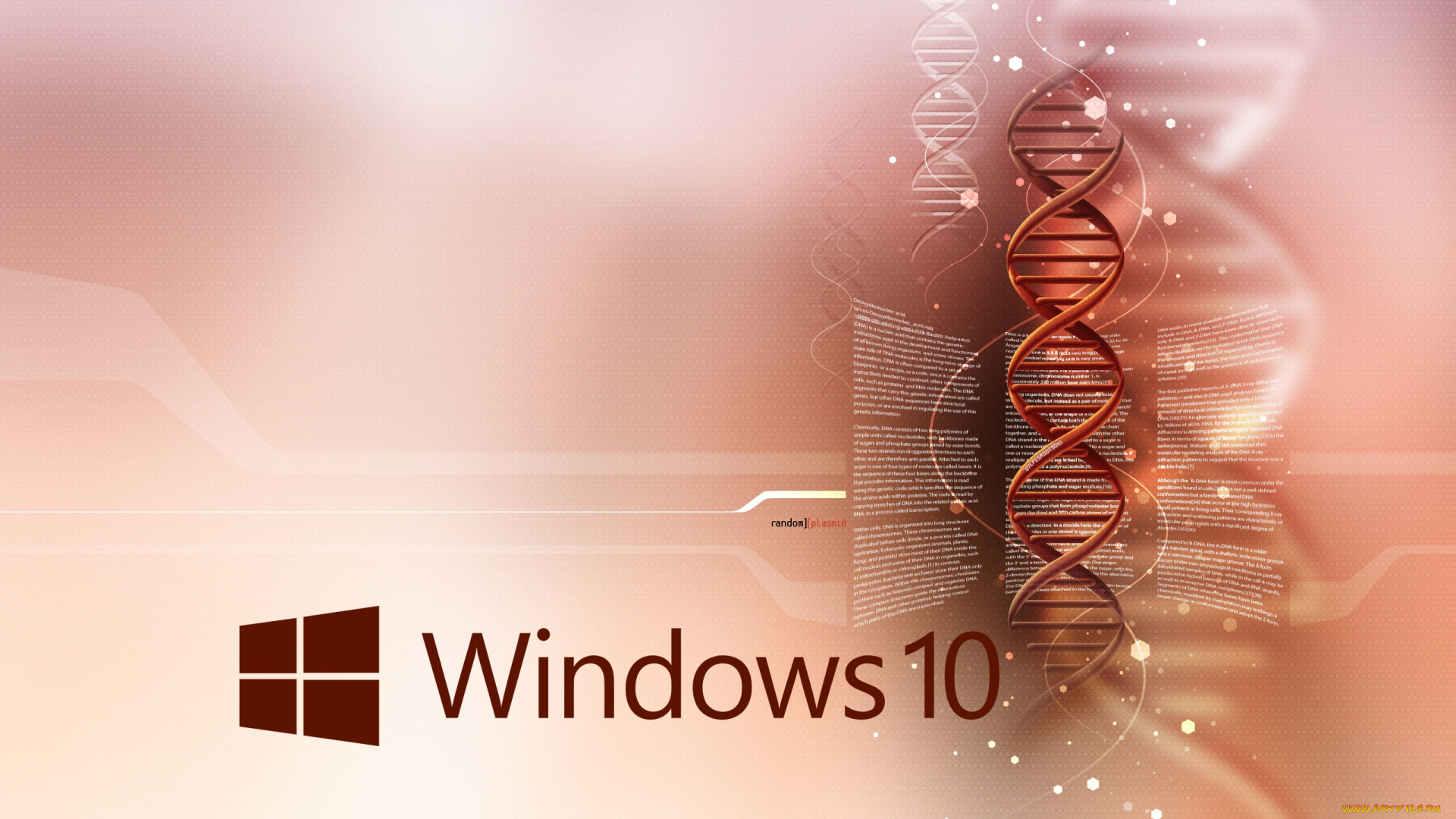 windows, 10, компьютеры, windows, , 10, windows