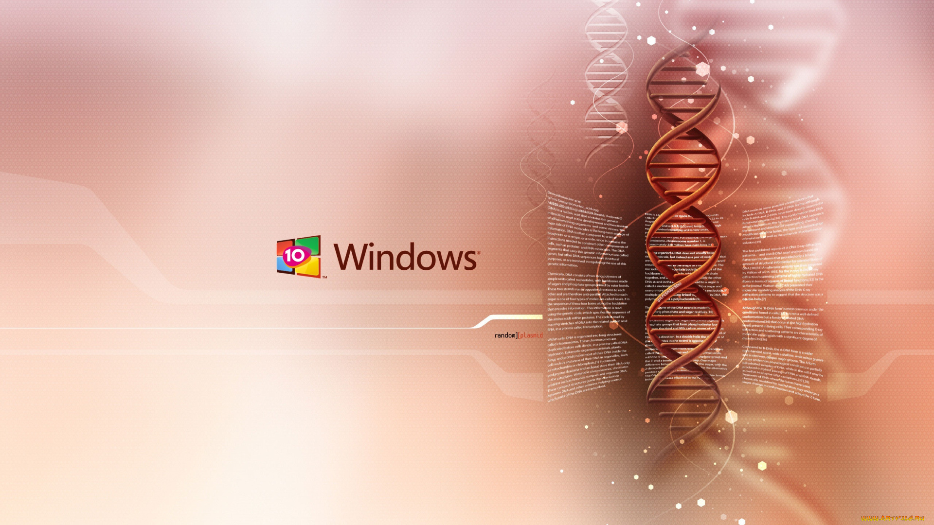 windows, 10, компьютеры, windows, , 10, windows