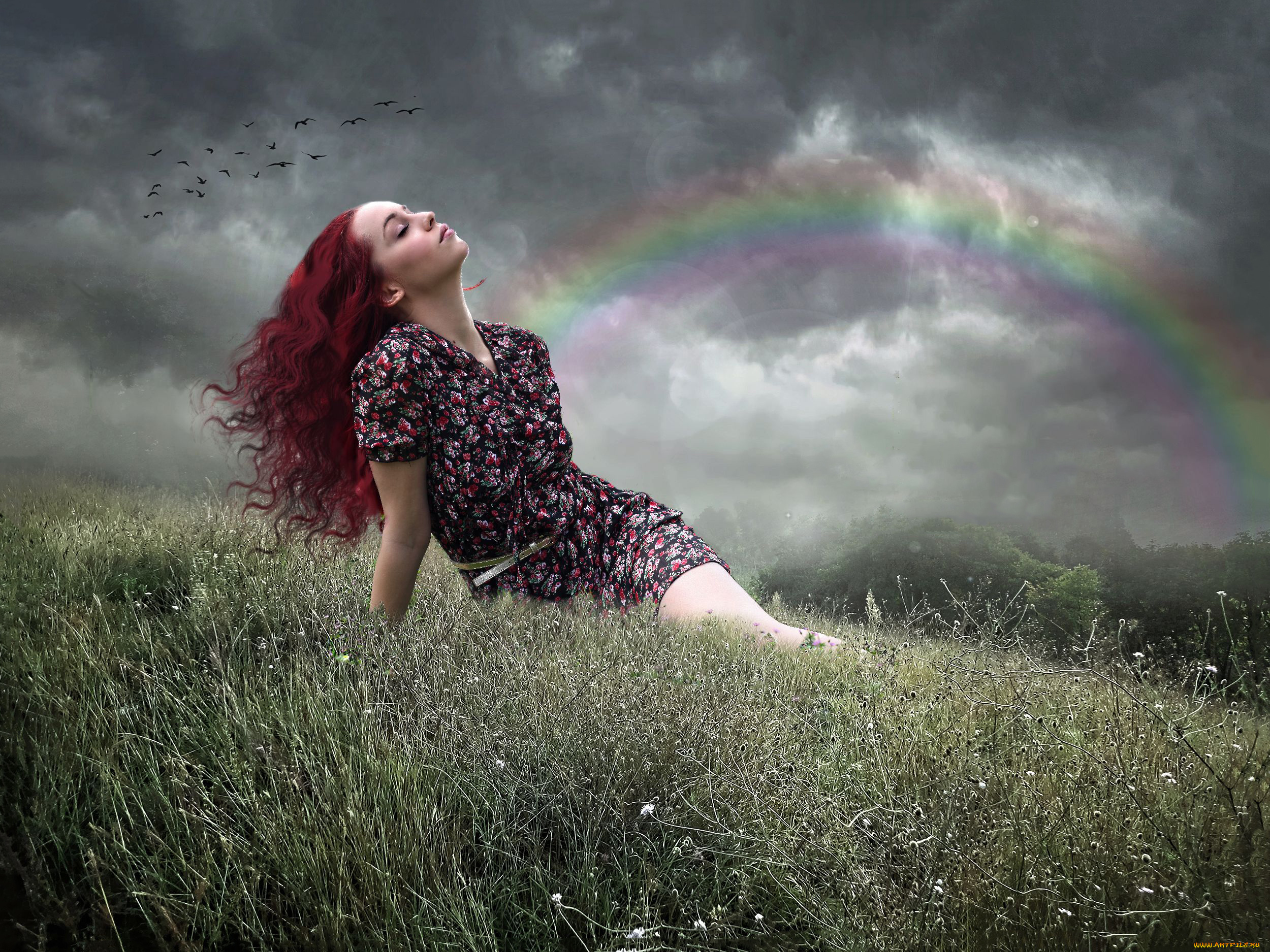 разное, компьютерный, дизайн, девушка, фон, поле, радуга