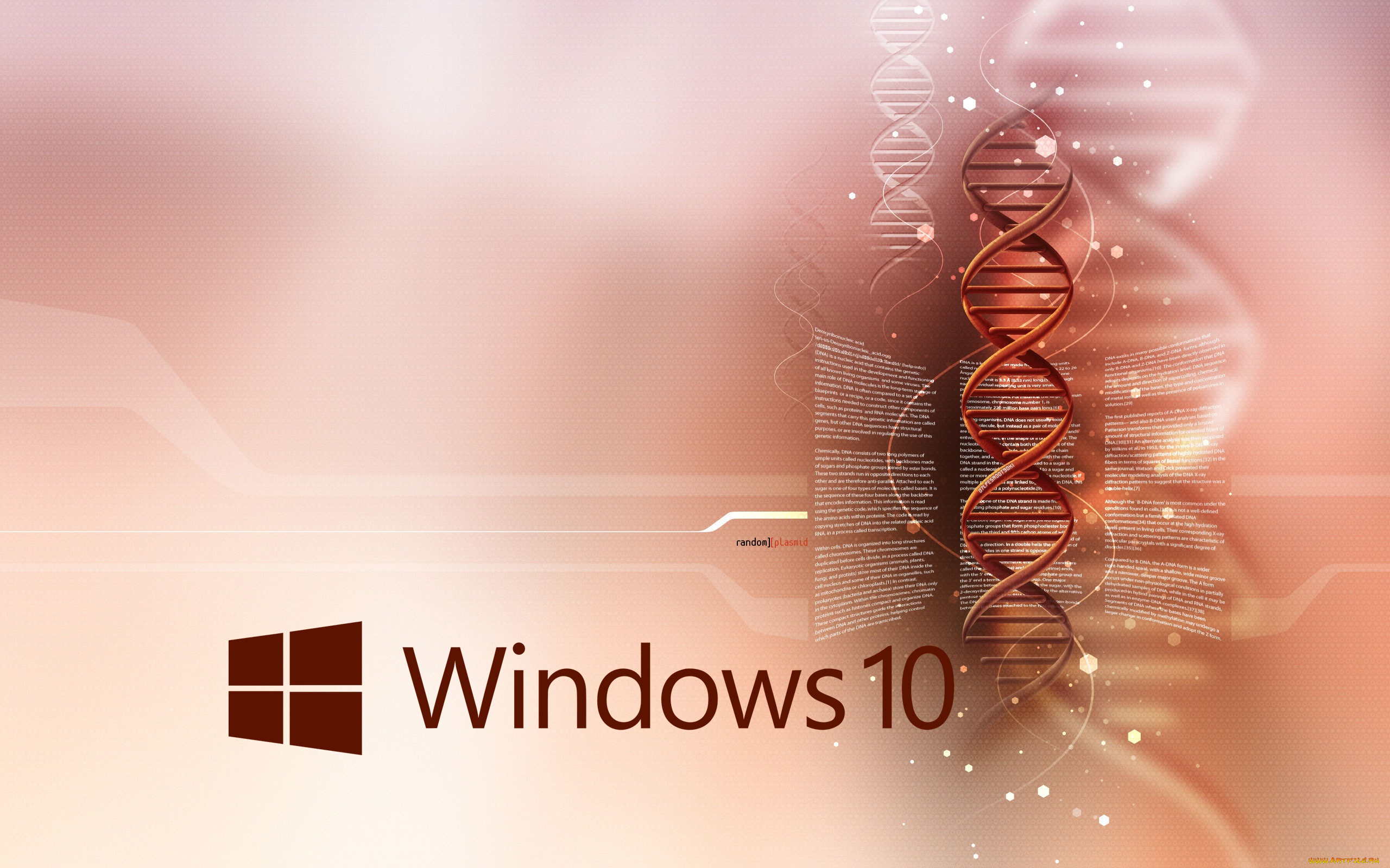 windows, 10, компьютеры, windows, , 10, windows
