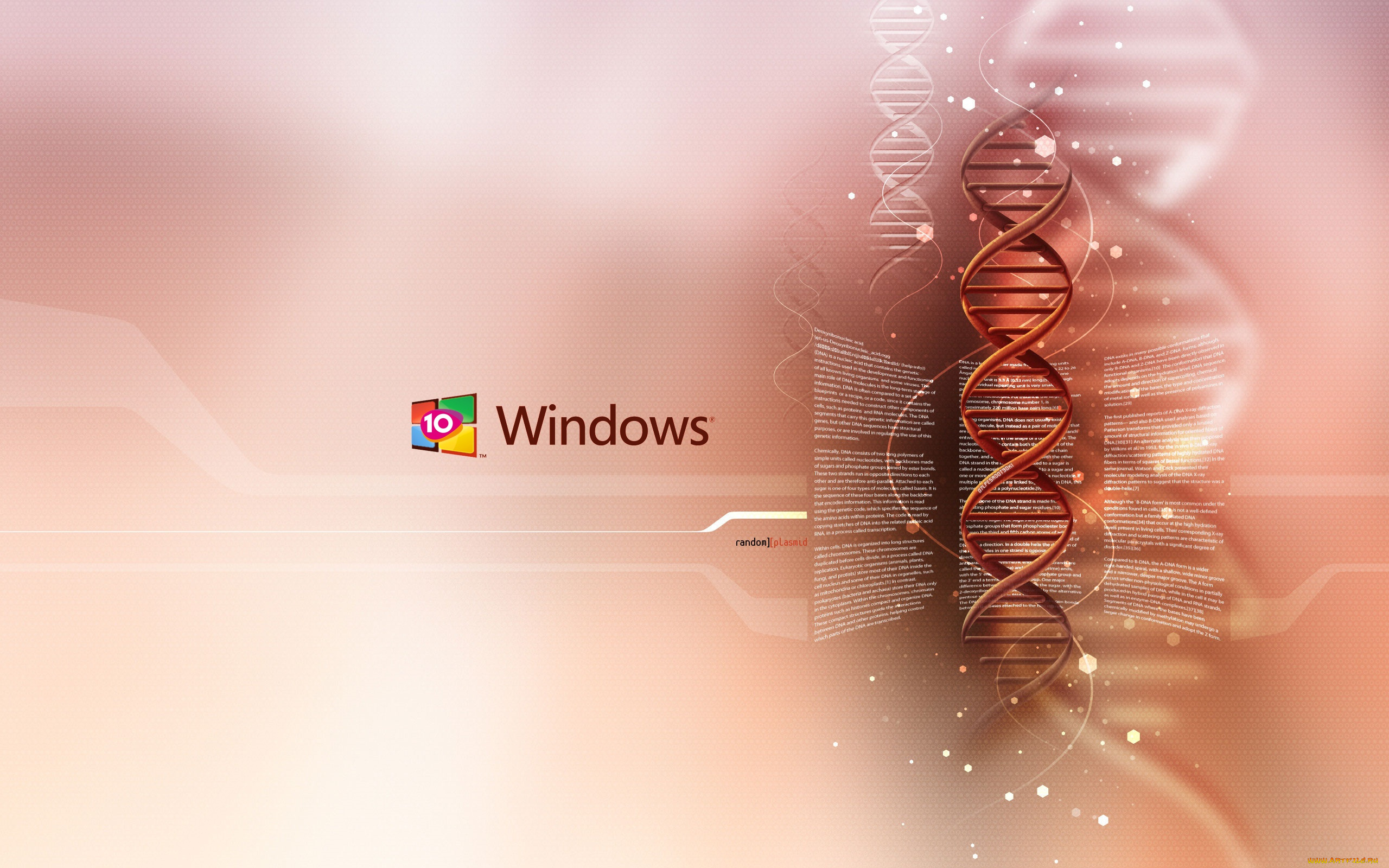 windows, 10, компьютеры, windows, , 10, windows