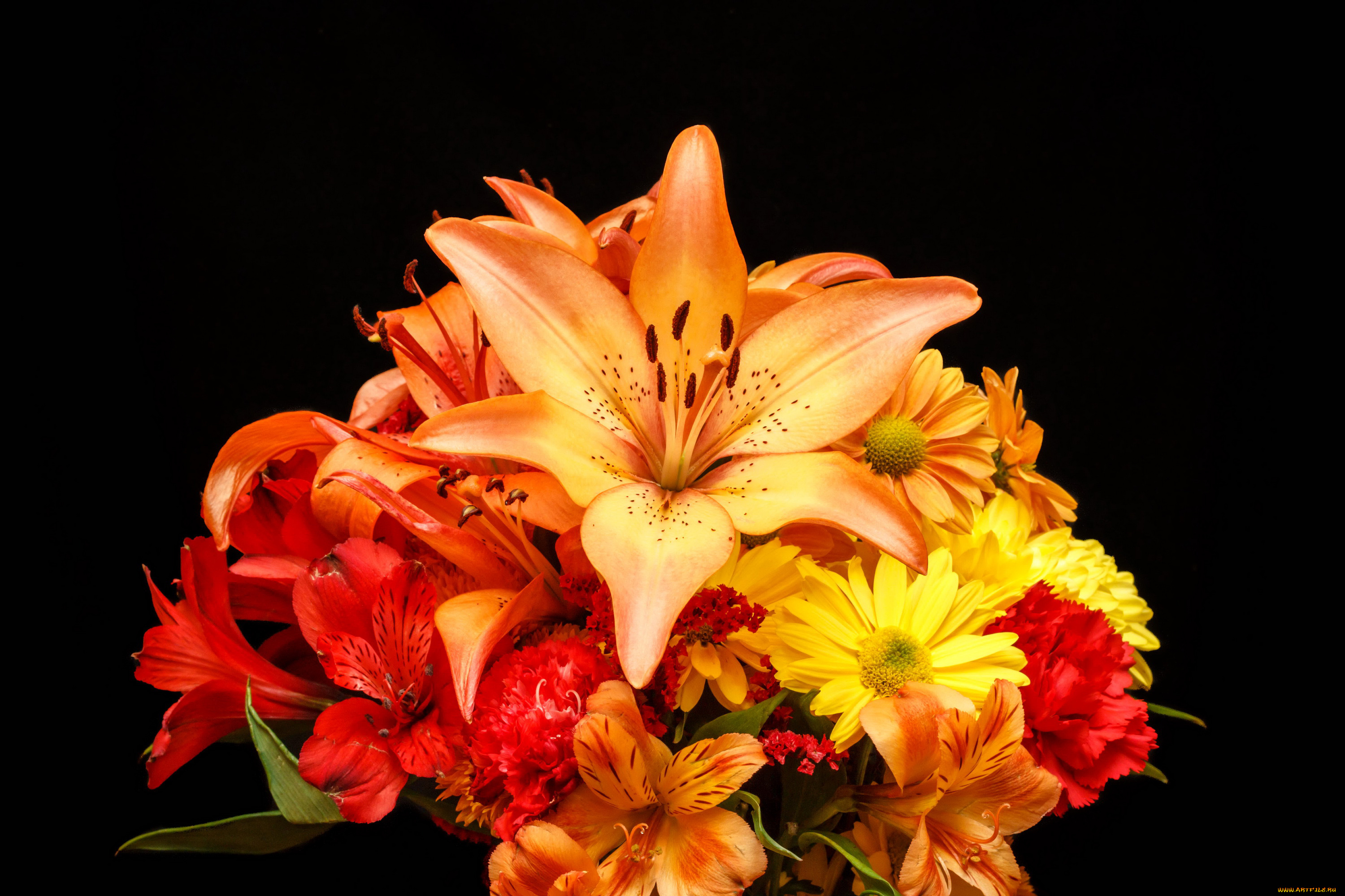 цветы, букеты, , композиции, букет, разноцветных, лилий, на, черном, фоне