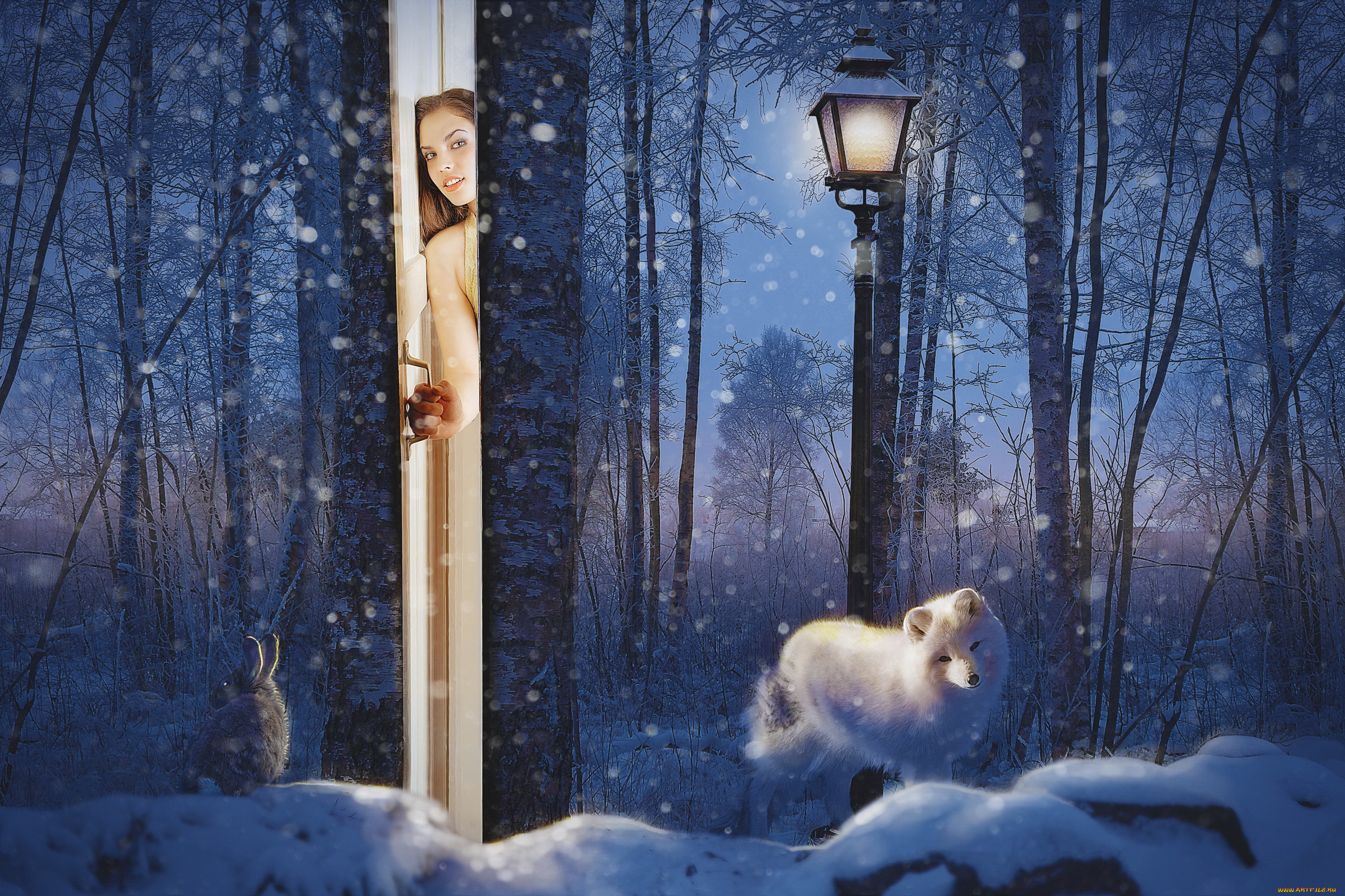 разное, компьютерный, дизайн, девушка, фон, взгляд, дверь, писец, заяц