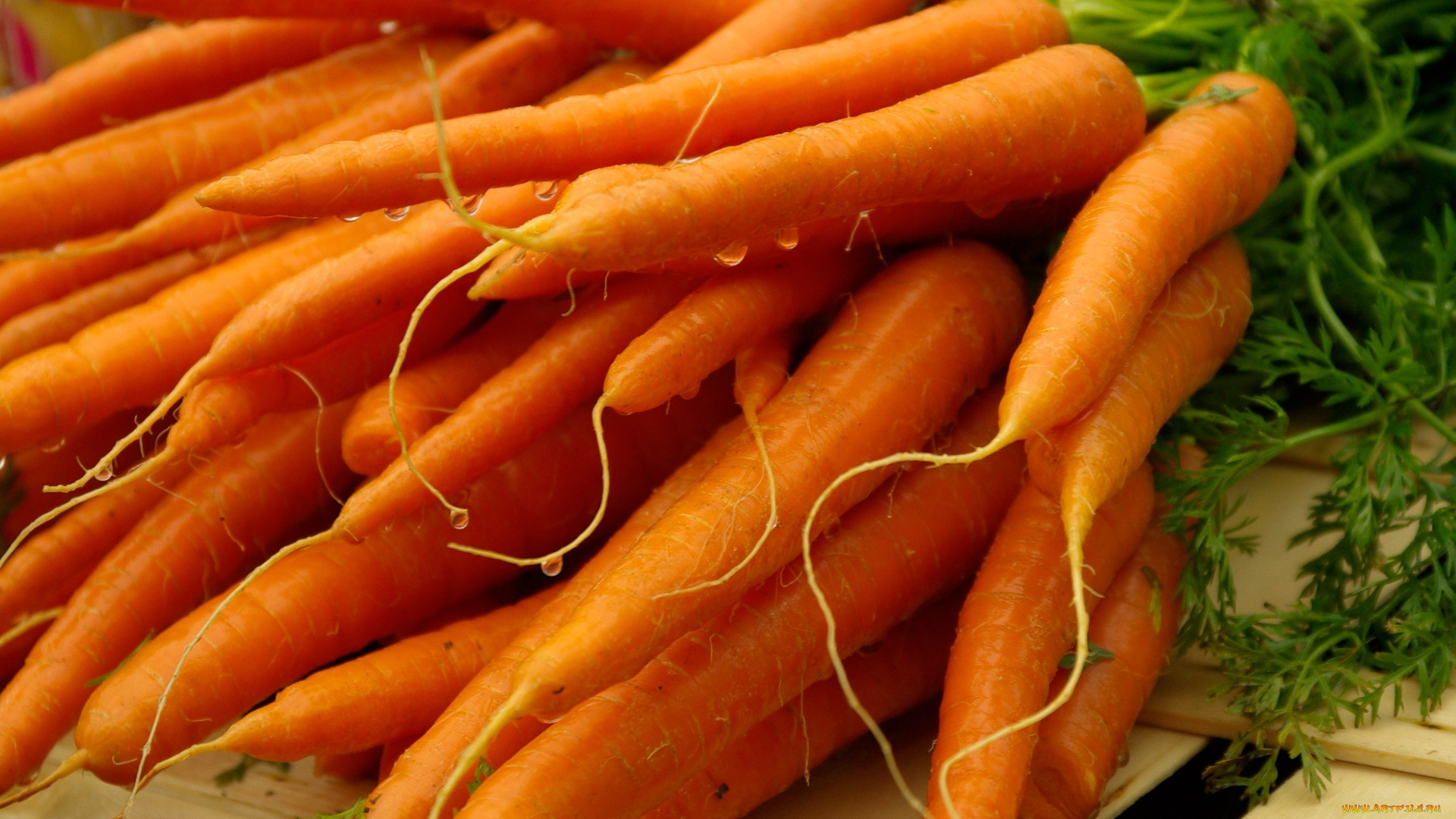 еда, морковь