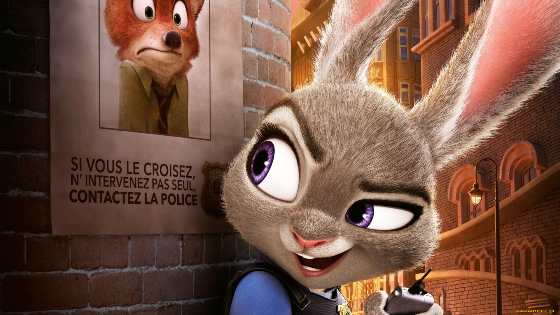 мультфильмы, zootopia