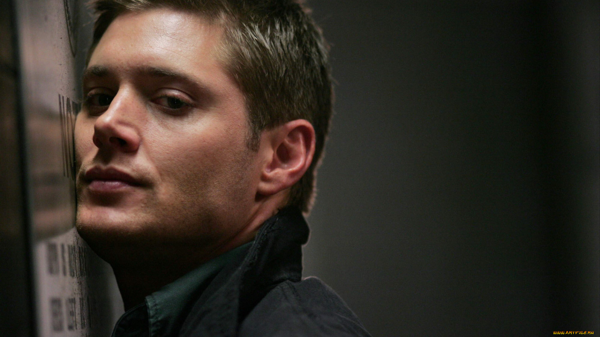 мужчины, jensen, ackles, jensen, ackles, актёр, дженсен, эклз, supernatural