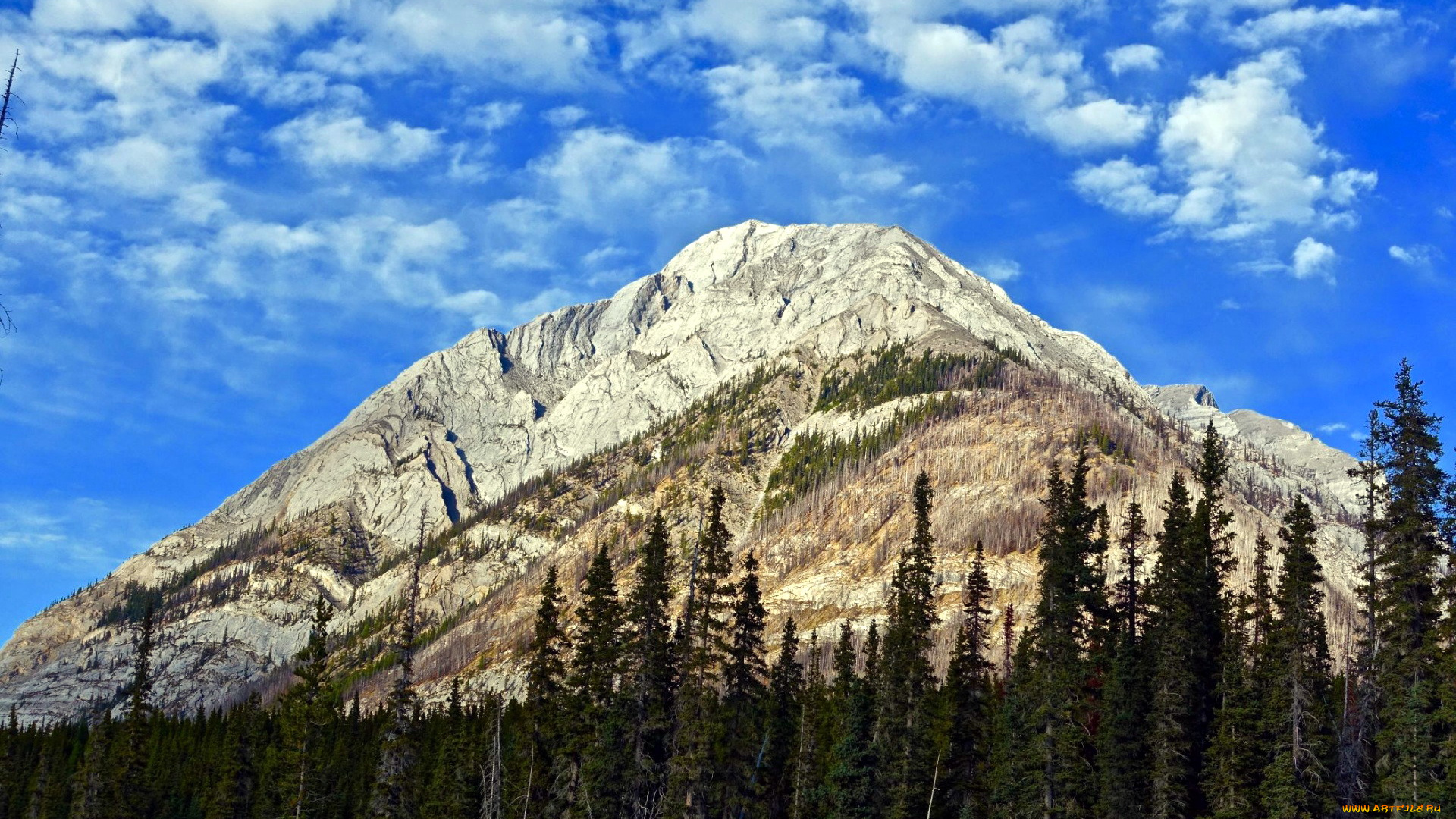 природа, горы, облака, лес