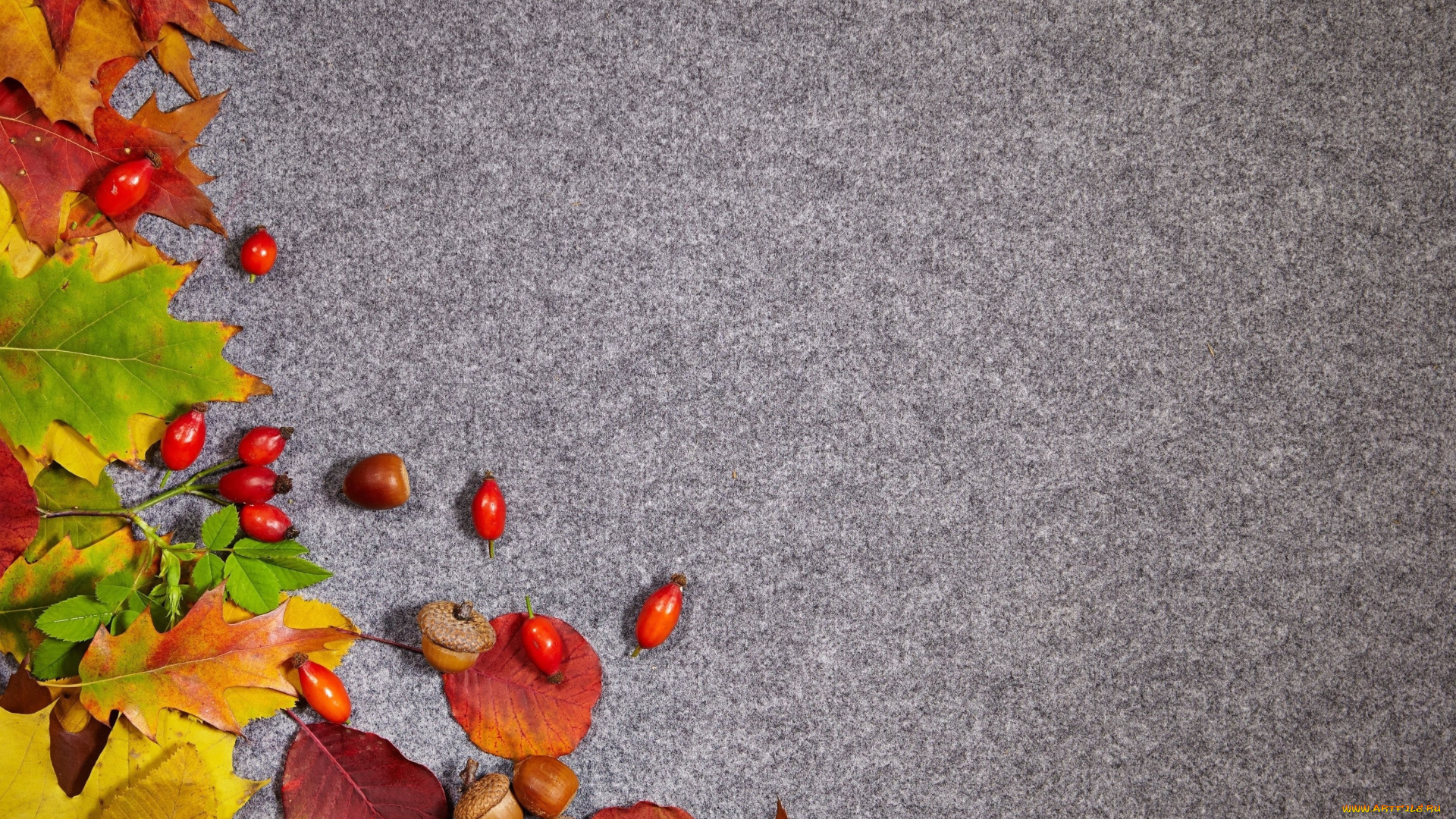 природа, листья, шиповник, осень, желуди, фон