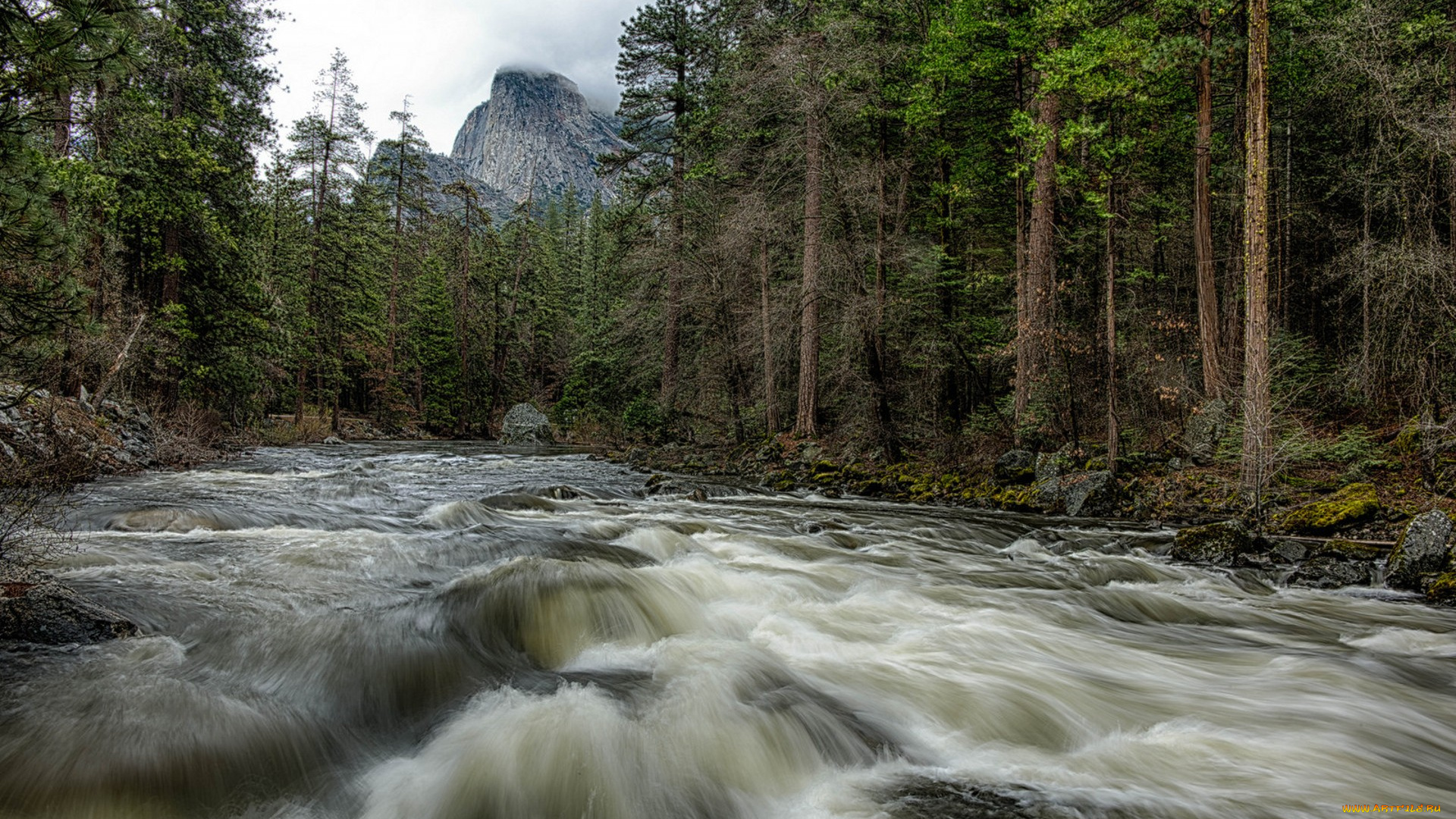 природа, реки, озера, простор