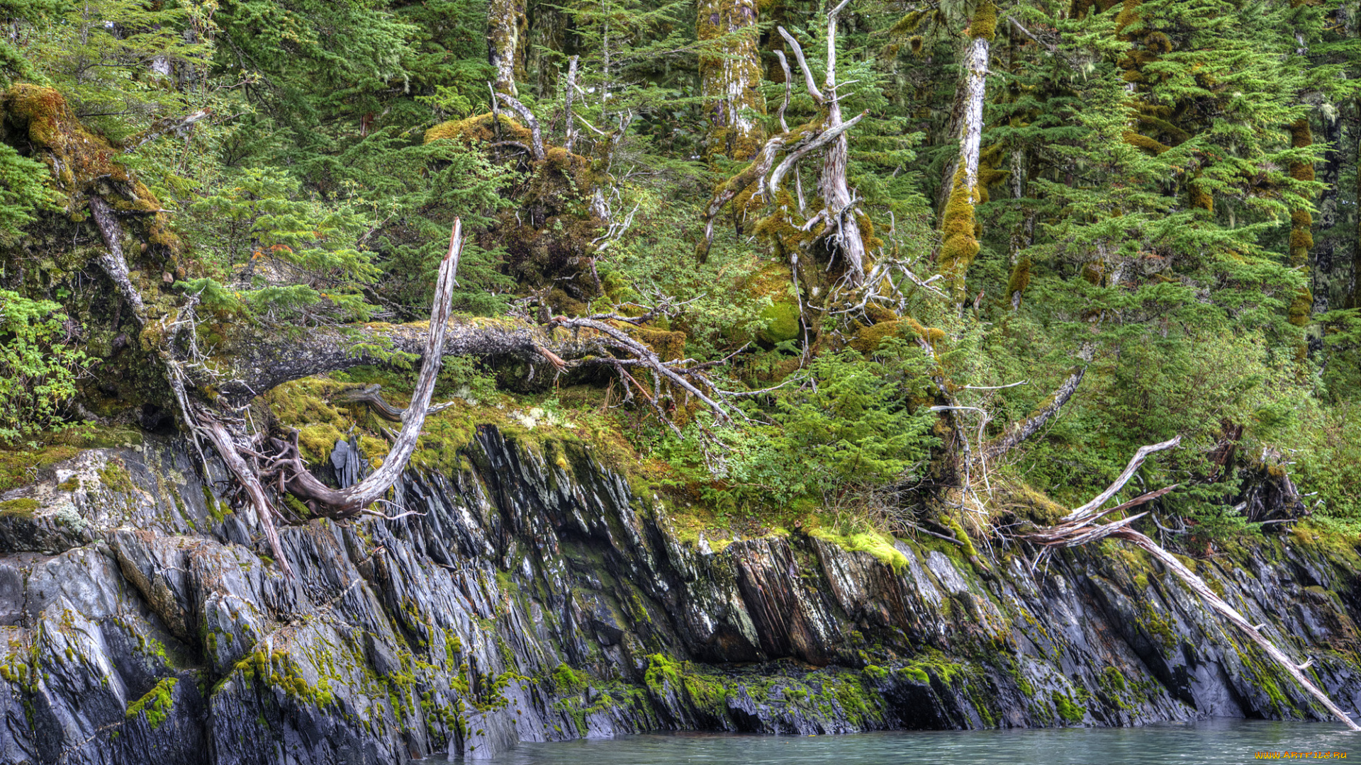 природа, реки, озера, простор