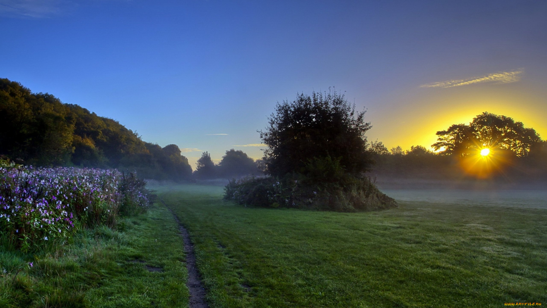 природа, восходы, закаты, луг, закат, кусты