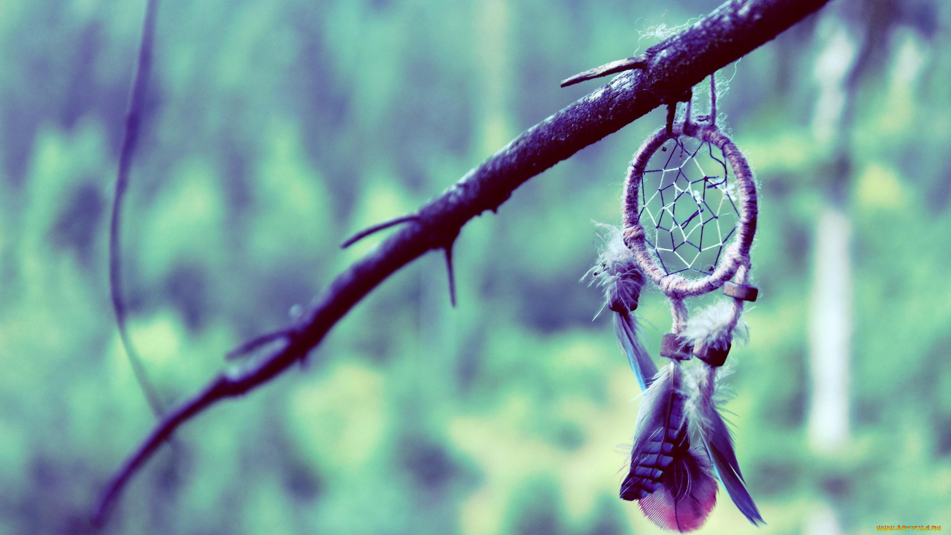 разное, украшения, , аксессуары, , веера, ловец, снов, ветка, плетение, перья