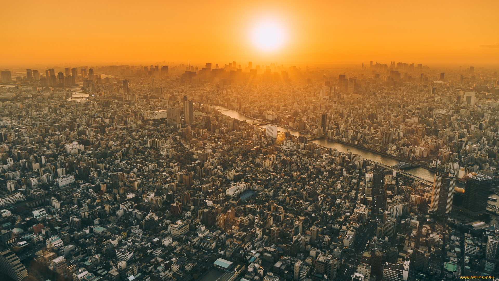 tokyo, , japan, города, токио, , Япония, фотография, городской, пейзаж, мегаполис, город, с, высоты