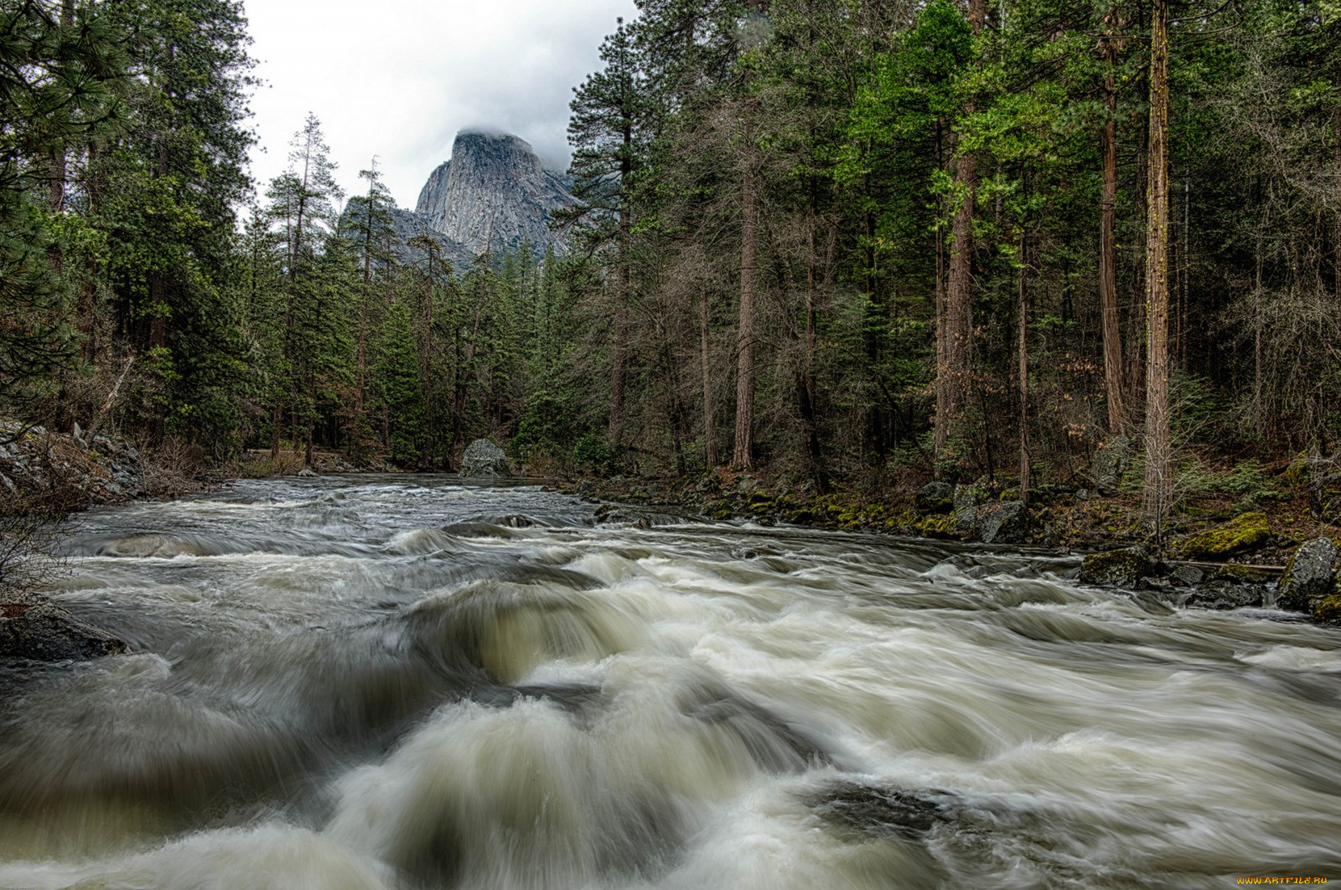 природа, реки, озера, простор