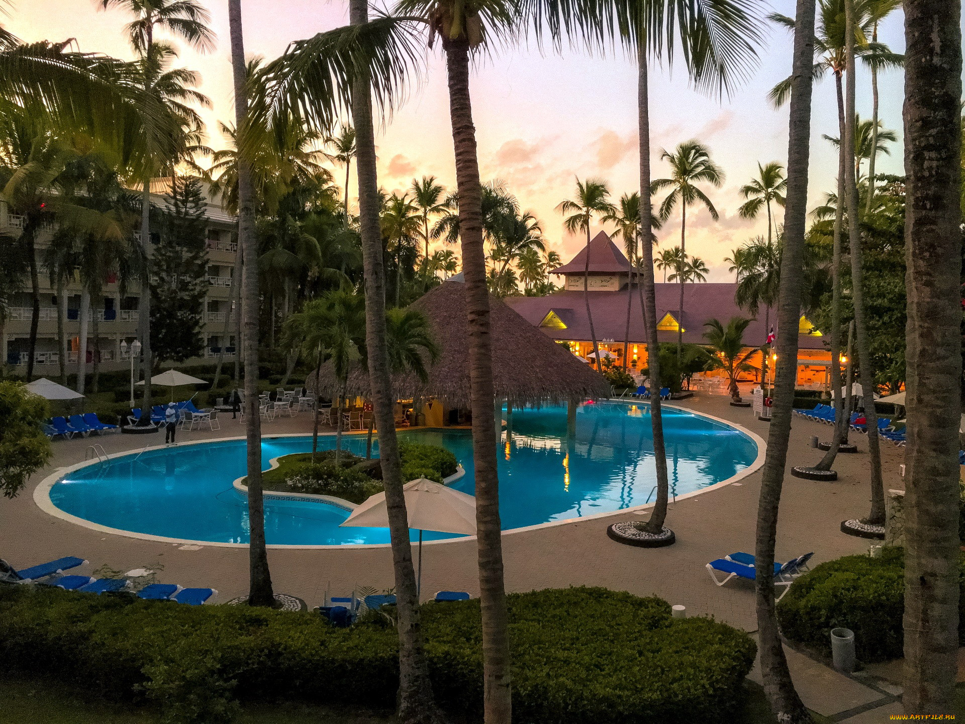 интерьер, бассейны, , открытые, площадки, курорт, пальмы, бассейн