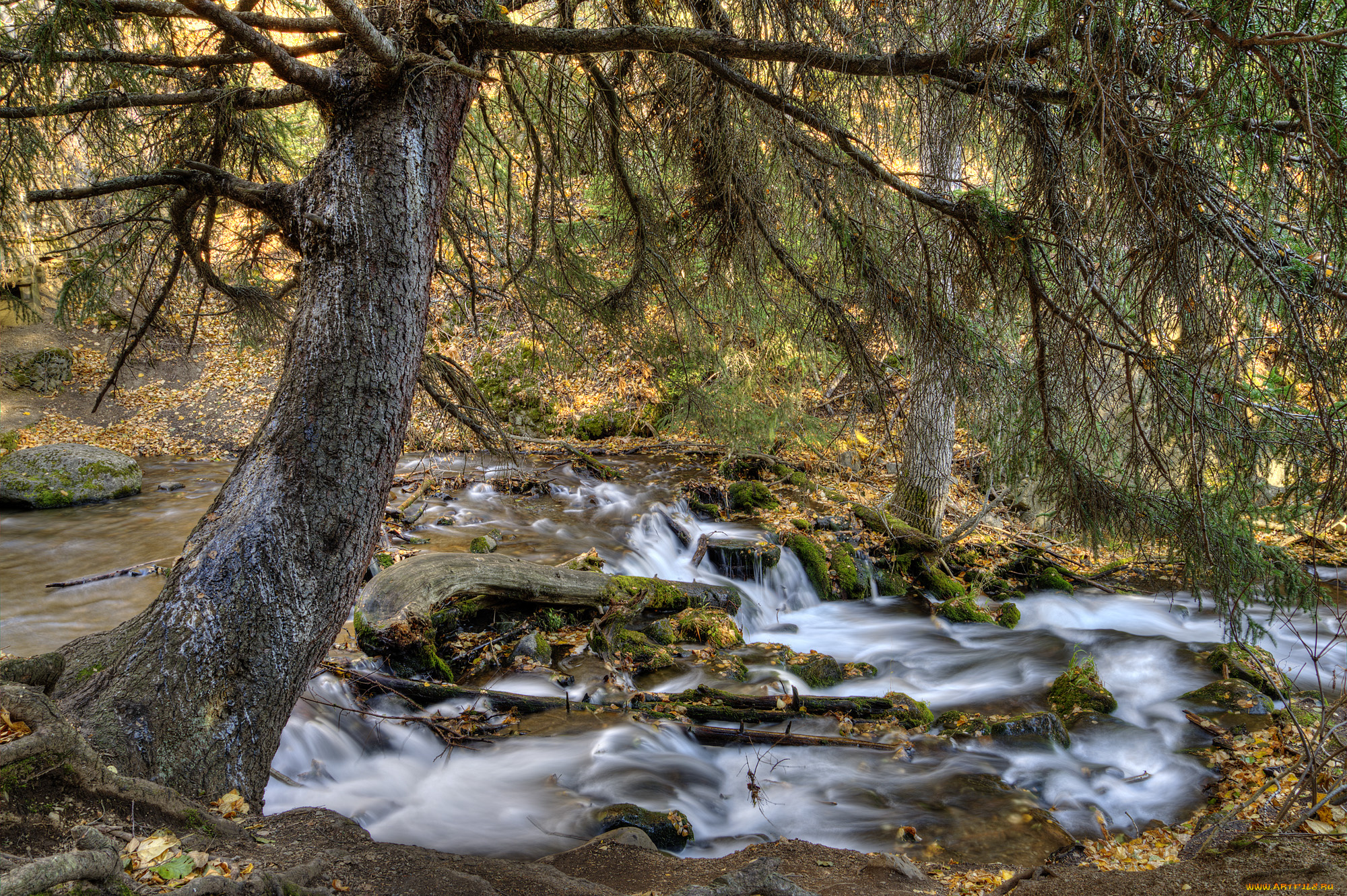 природа, реки, озера, простор