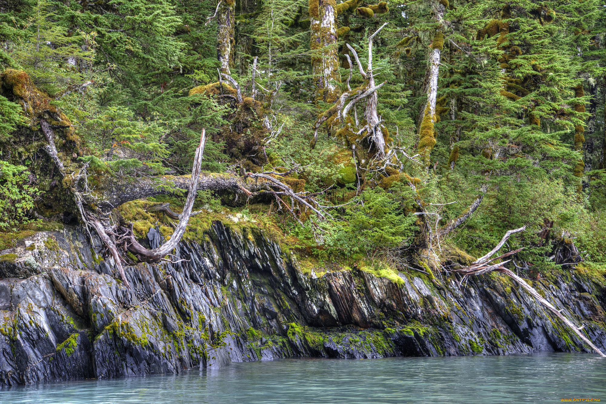 природа, реки, озера, простор